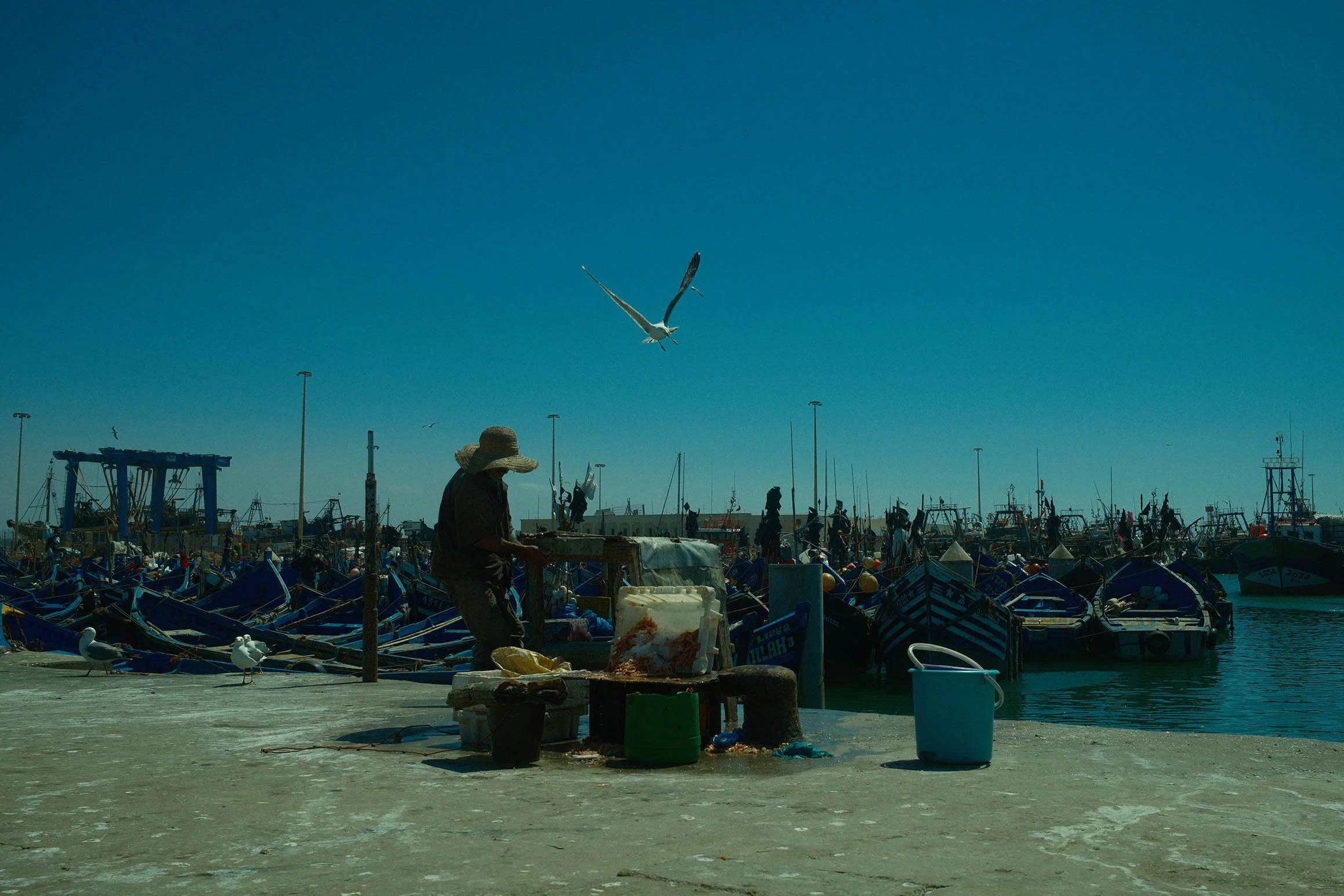 Un pêcheur vendant du poisson au port avec des bateaux de pêche amarrés en arrière-plan, un ciel clair et un oiseau en vol.