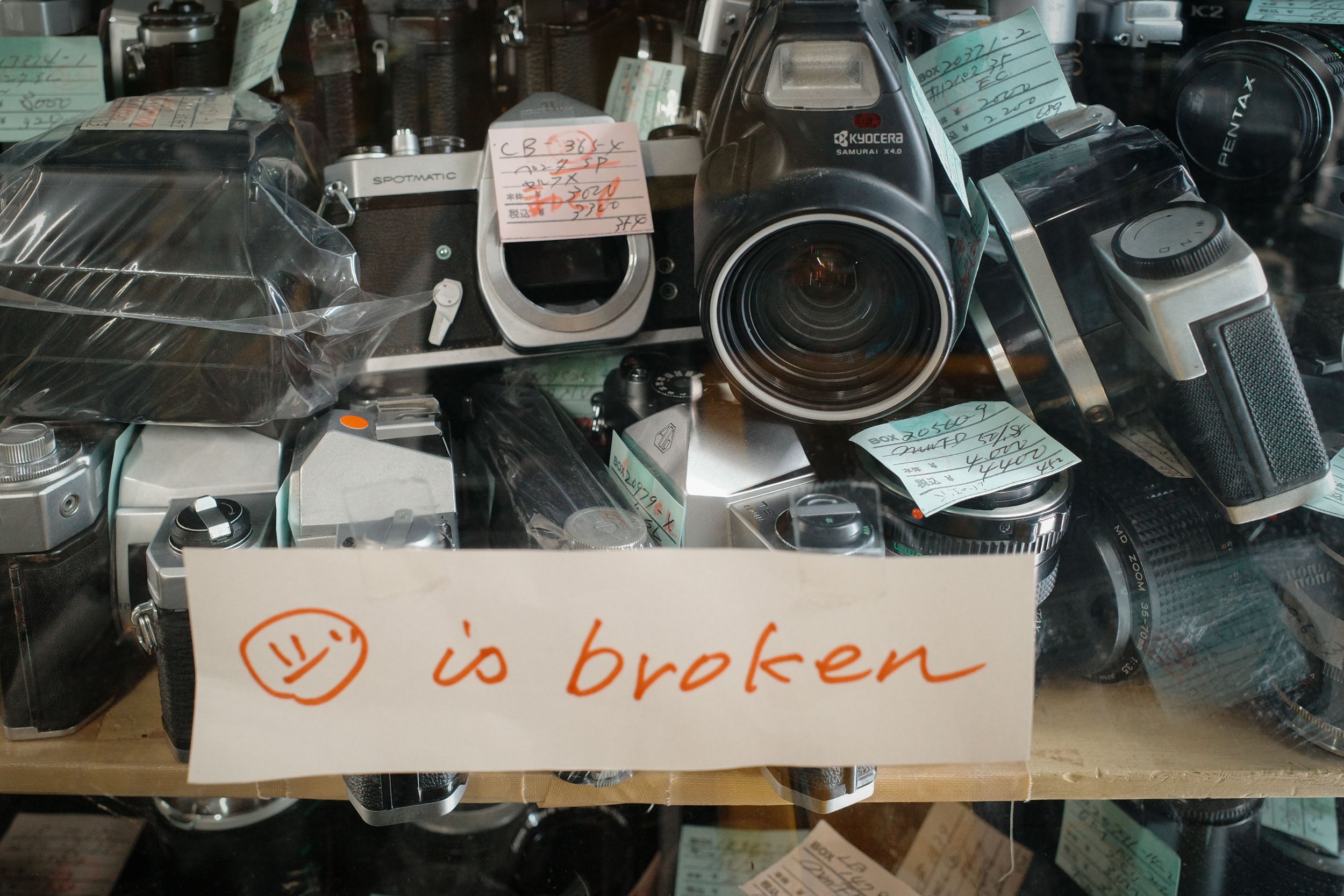 R0008599.jpg