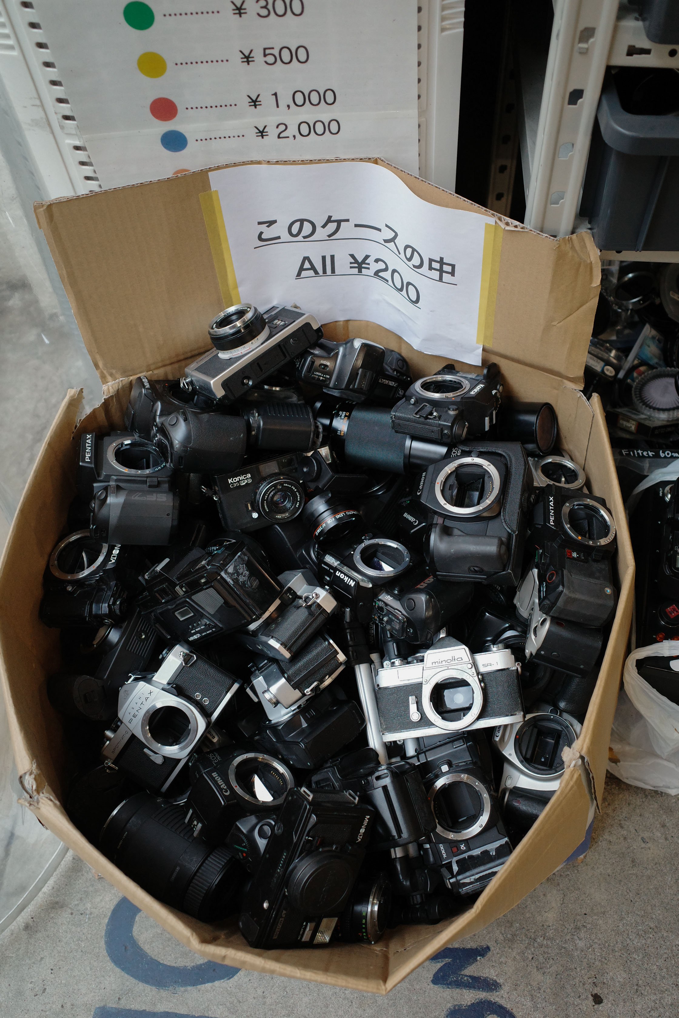 R0009639-2.jpg