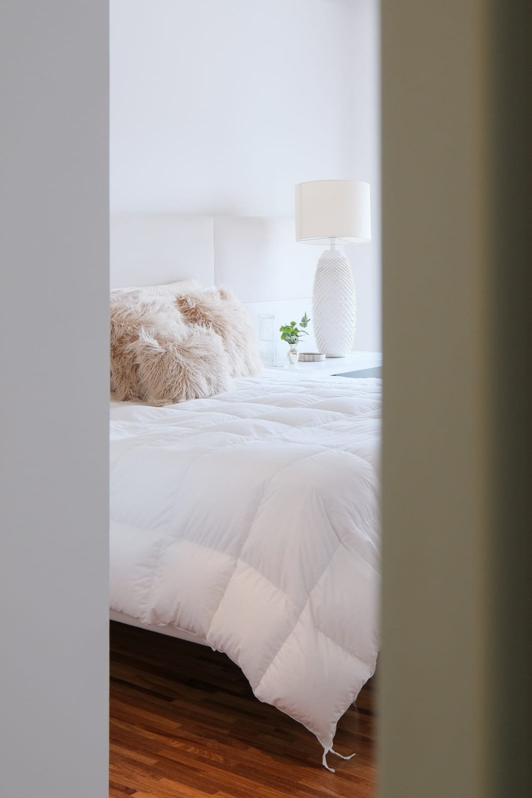 WhatsApp Image 2026-01-27 at 00.01.39.jpeg