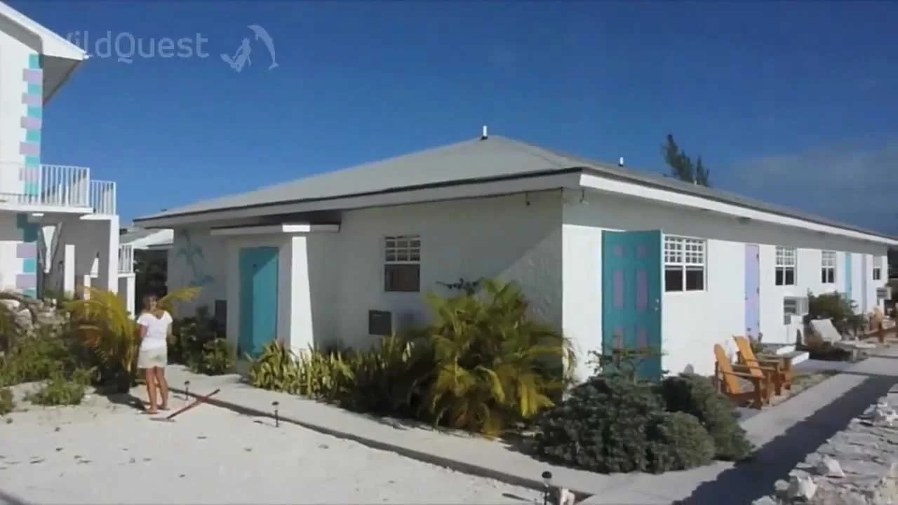 DOLPHIN WILDQUEST ACCOM.jpg