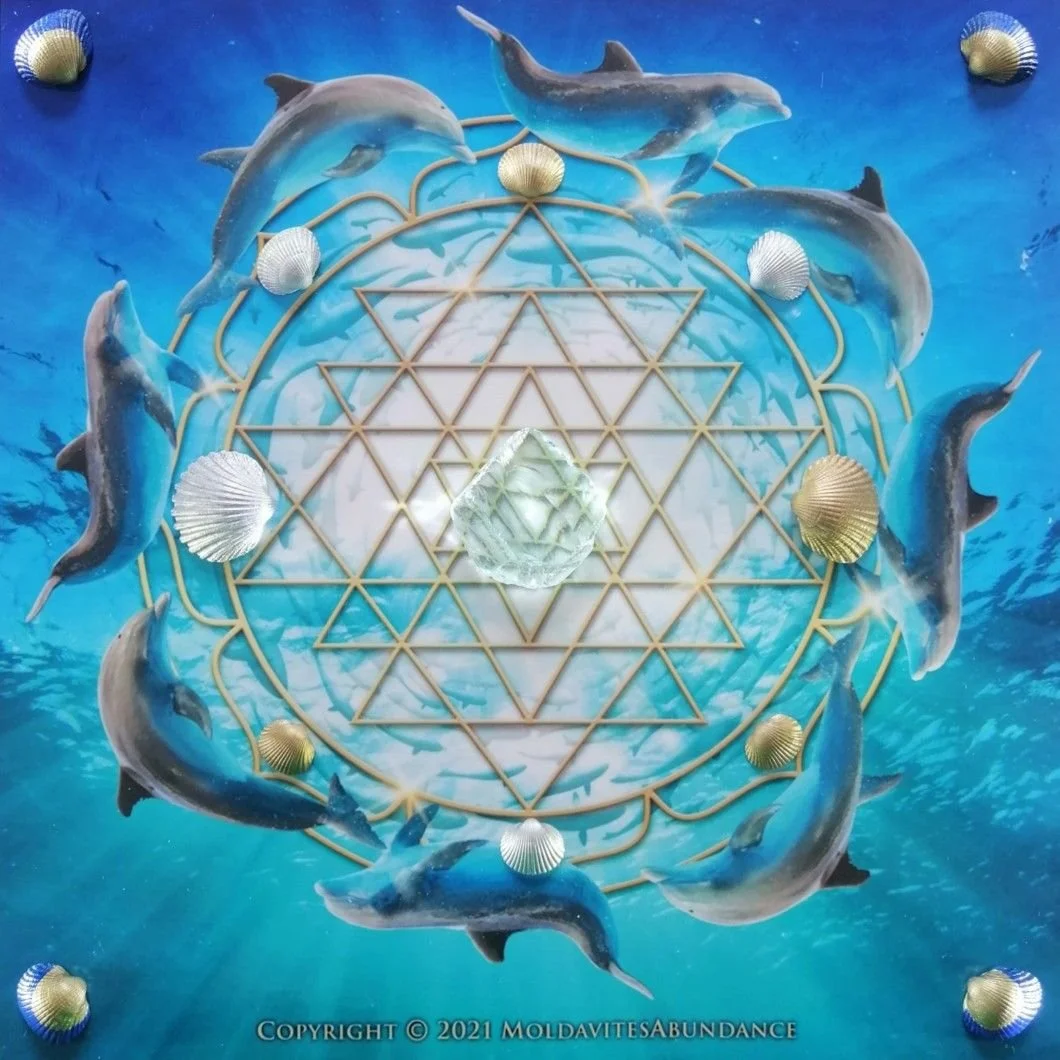 999 sg dolphins & planetary grid.jpg