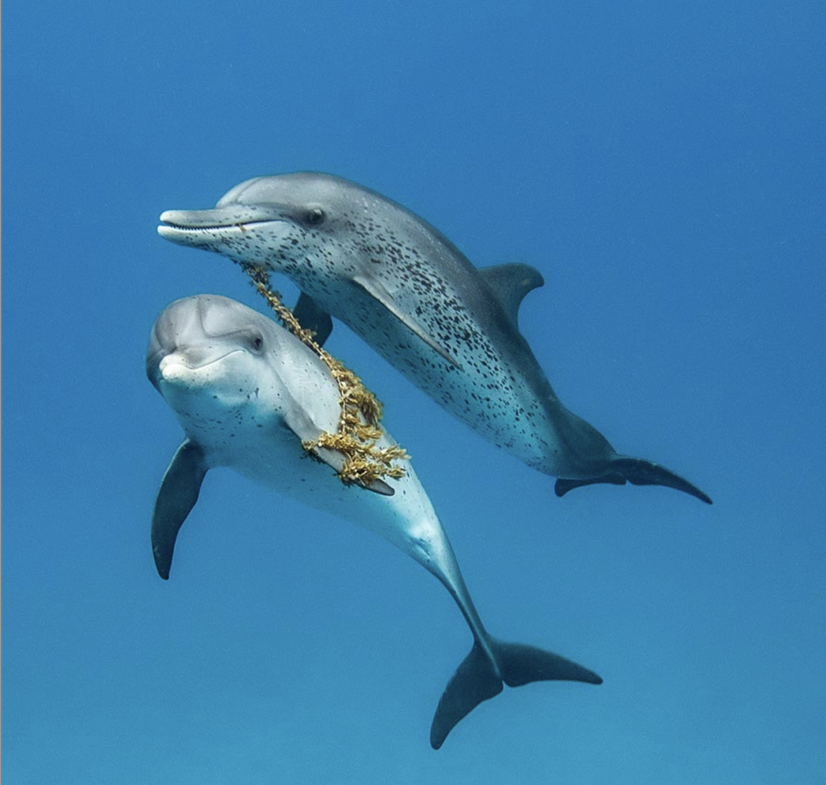 Screenshot 2025-11-24 at 14.50.49.png