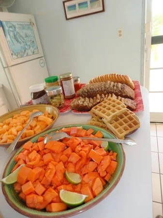 DOLPHIN FOOD WILDQUEST.jpg