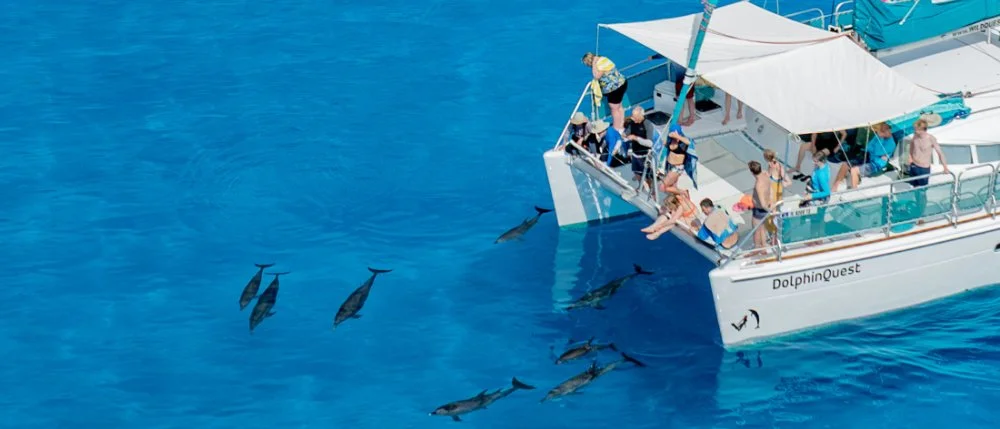 DOLPHIN RETREAT BOAT.jpg