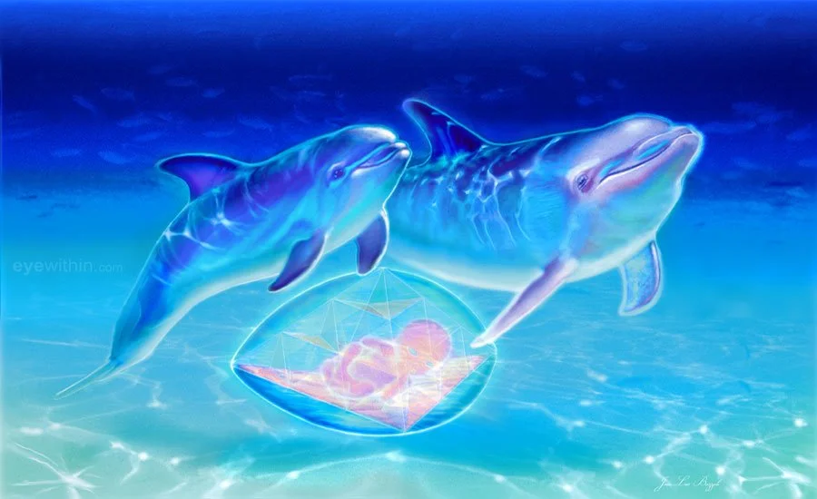 CELESTIAL STAR HEALING DOLPHINS WITH BABY.jpeg