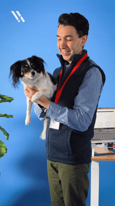 NBF_Dog-2.gif