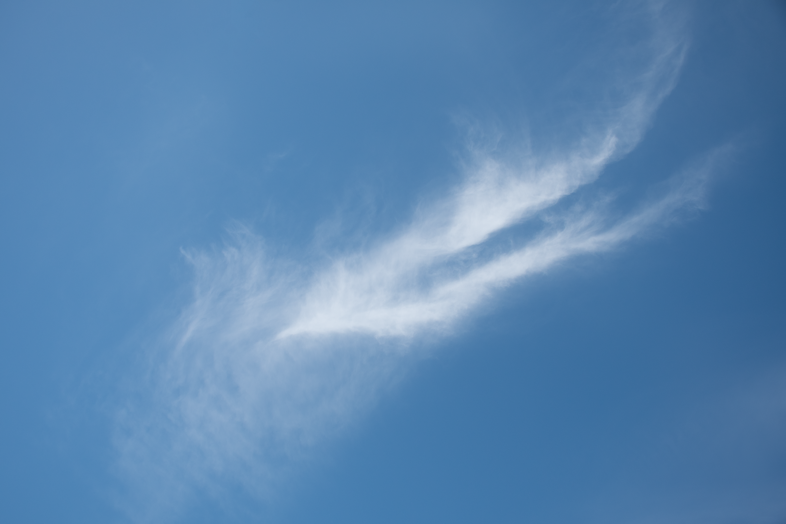 feather.png