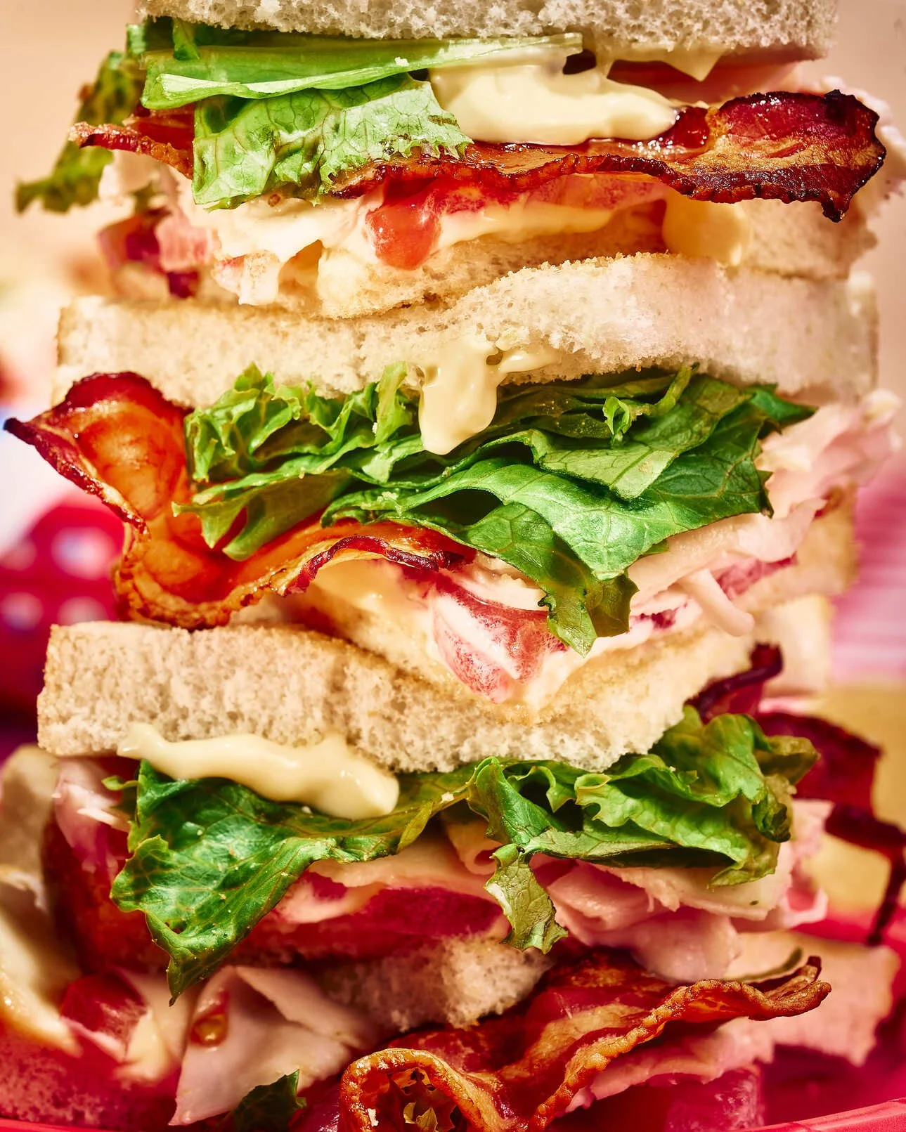 SANDWICH ÉTÉ - CLOSE-UP.jpg