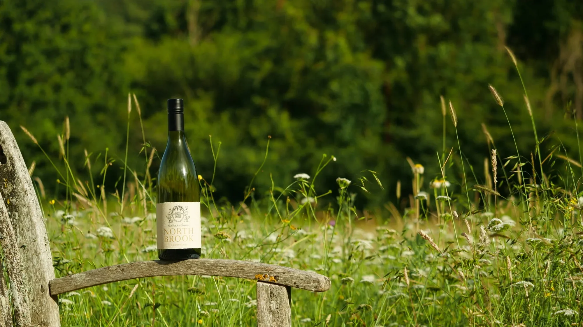 Ciccia X Northbrook Vineyard