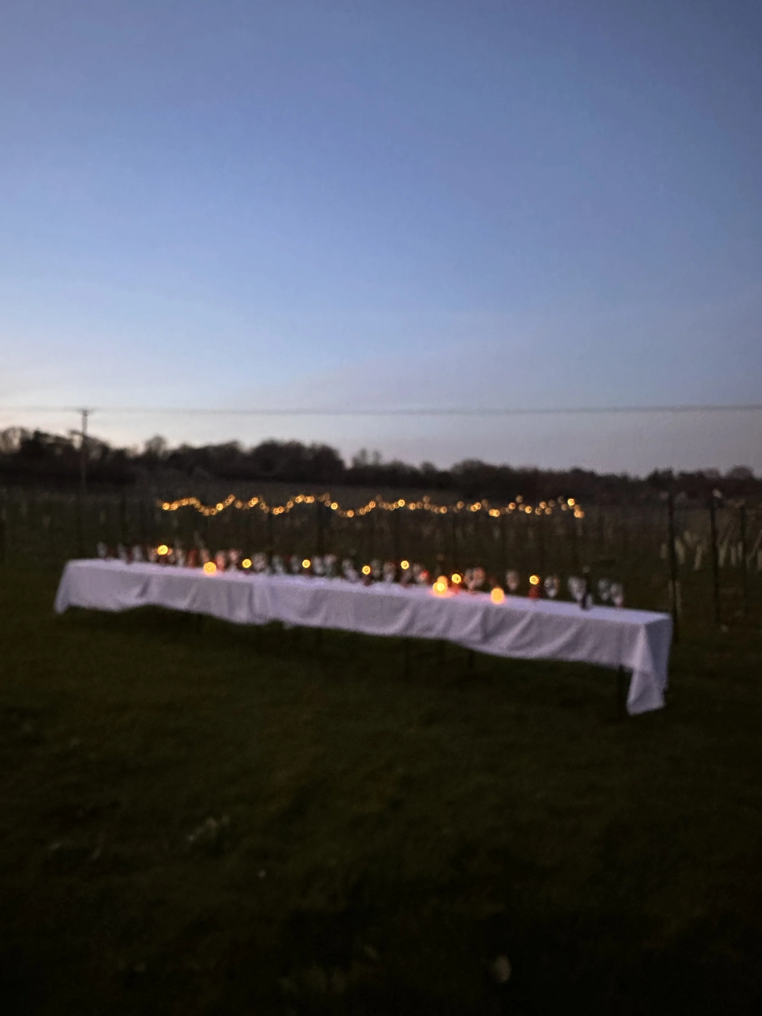 A long wooden table set for a dinner with white flowers and candles, neatly arranged with glassware, napkins, and place cards, in a cozy room with a white brick wall and windows overhead.