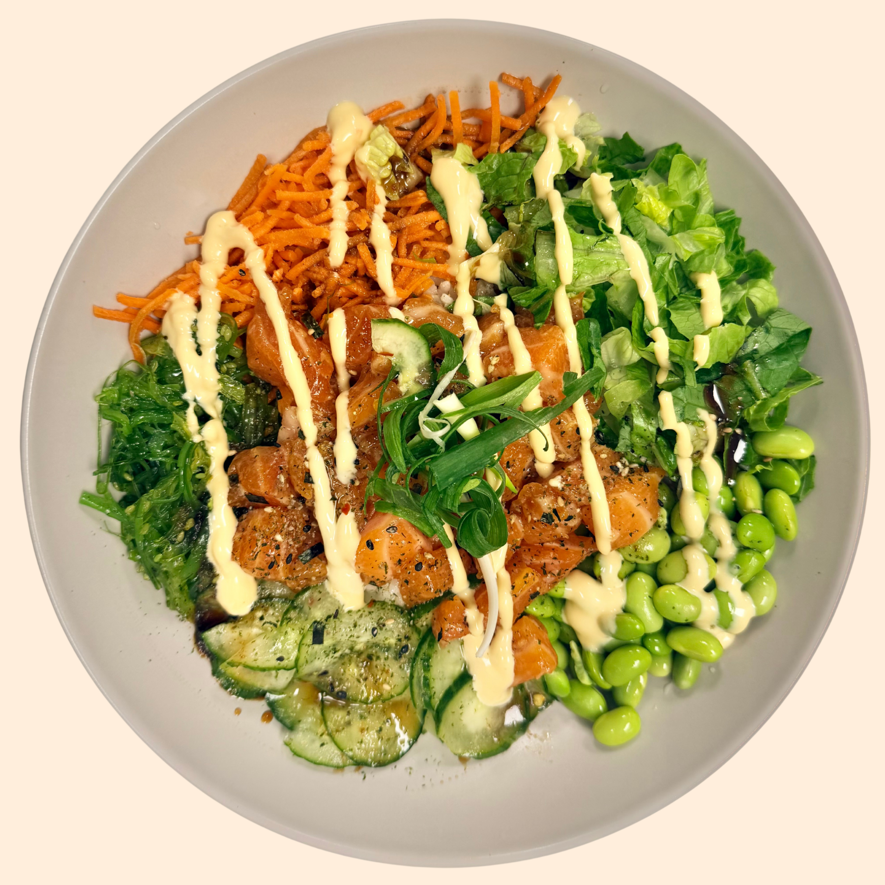 🇯🇵 Bol Saumon Poke