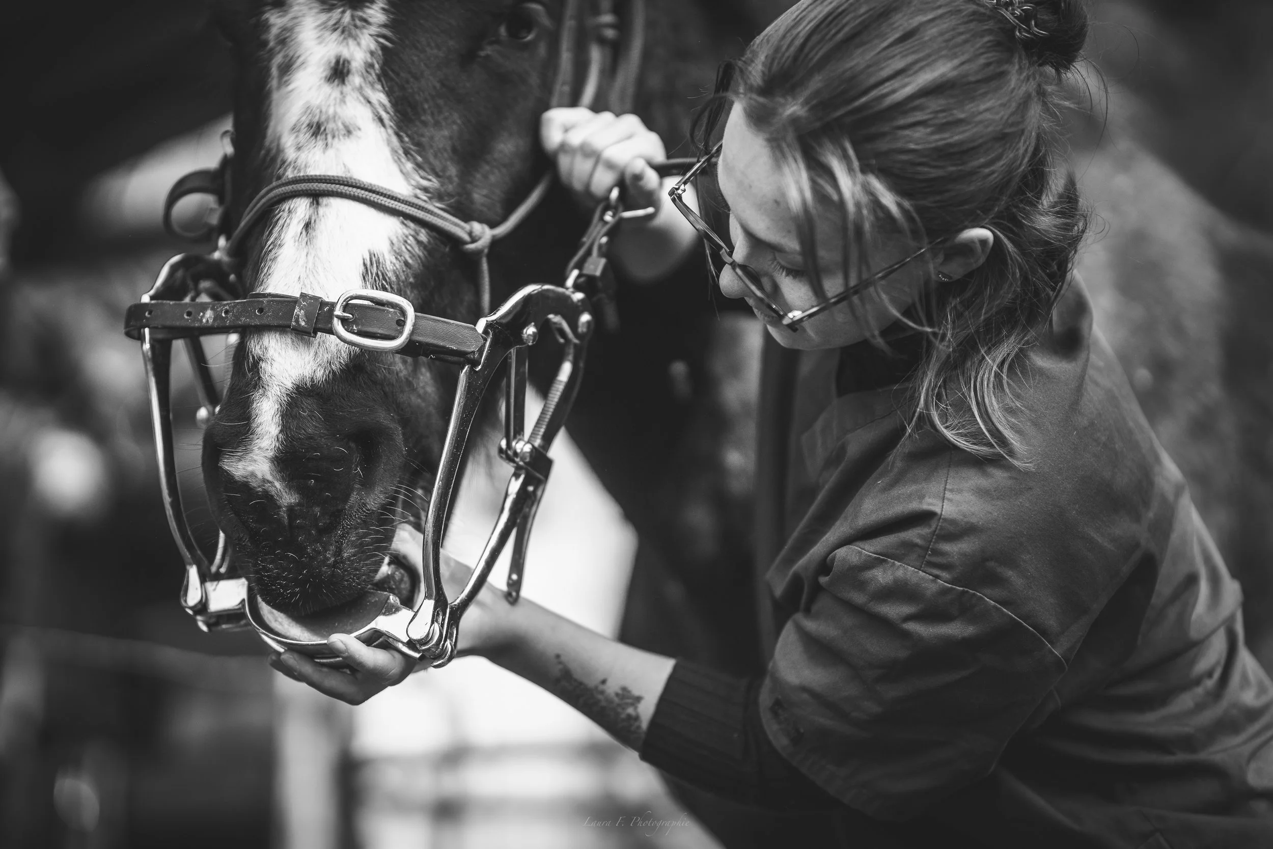 Une femme porte des lunettes et s'incline vers un cheval portant un harnais, dans une interaction douce.