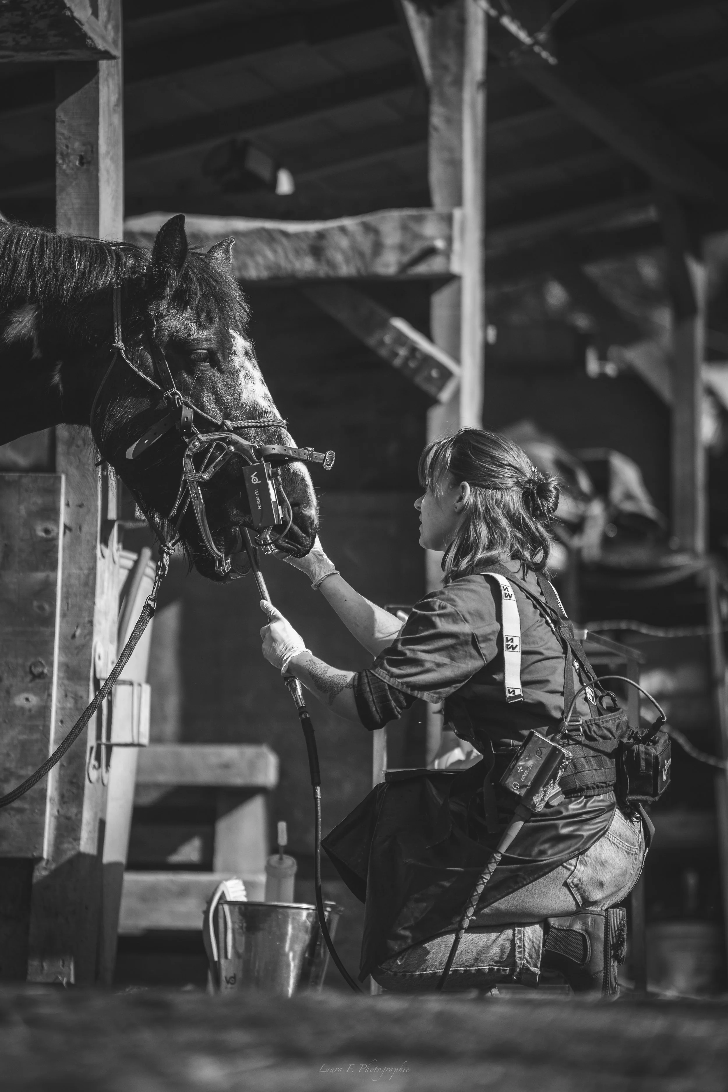 Une femme prenant soin d'un cheval dans un boxe en bois, en noir et blanc.