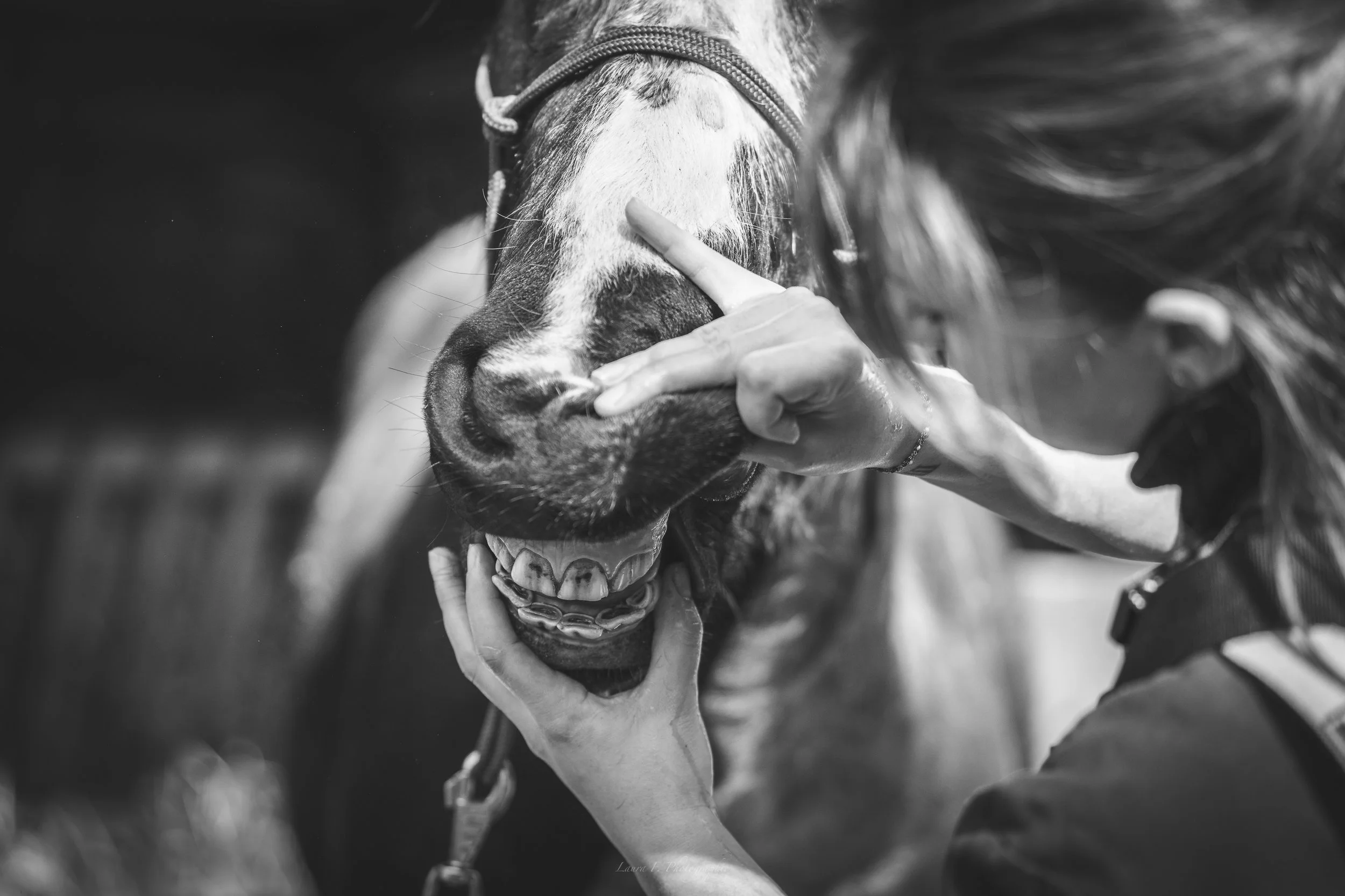 Une femme caressant un cheval dans un cadre extérieur, en noir et blanc.
