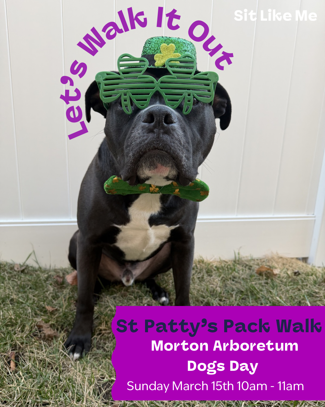 St Patty's Pack Walk