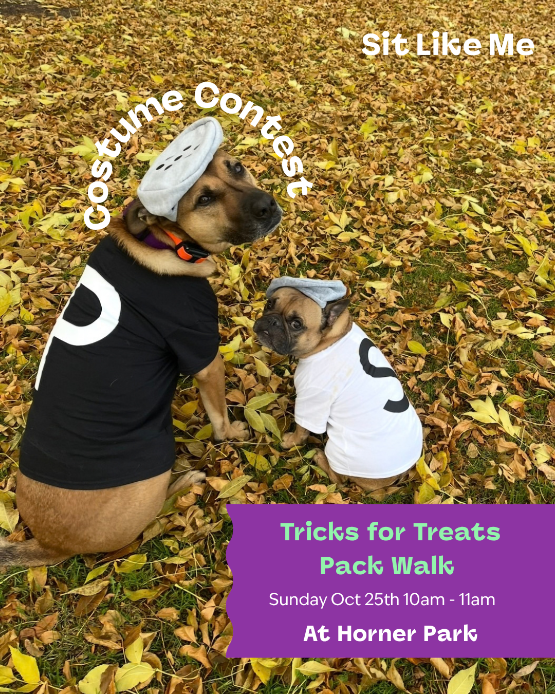 Tricks for Treats PACK WALK