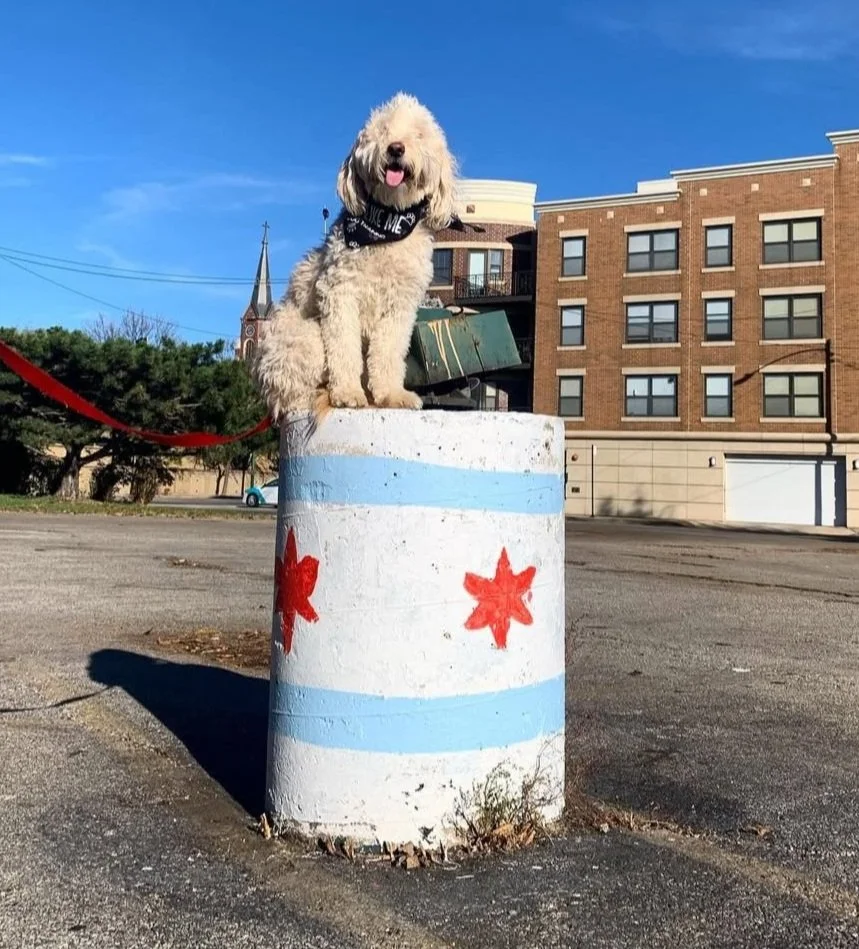 SLM Wrigley.jpg