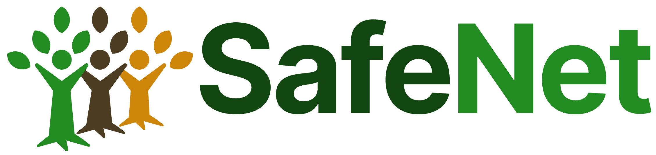 Safenet Logo