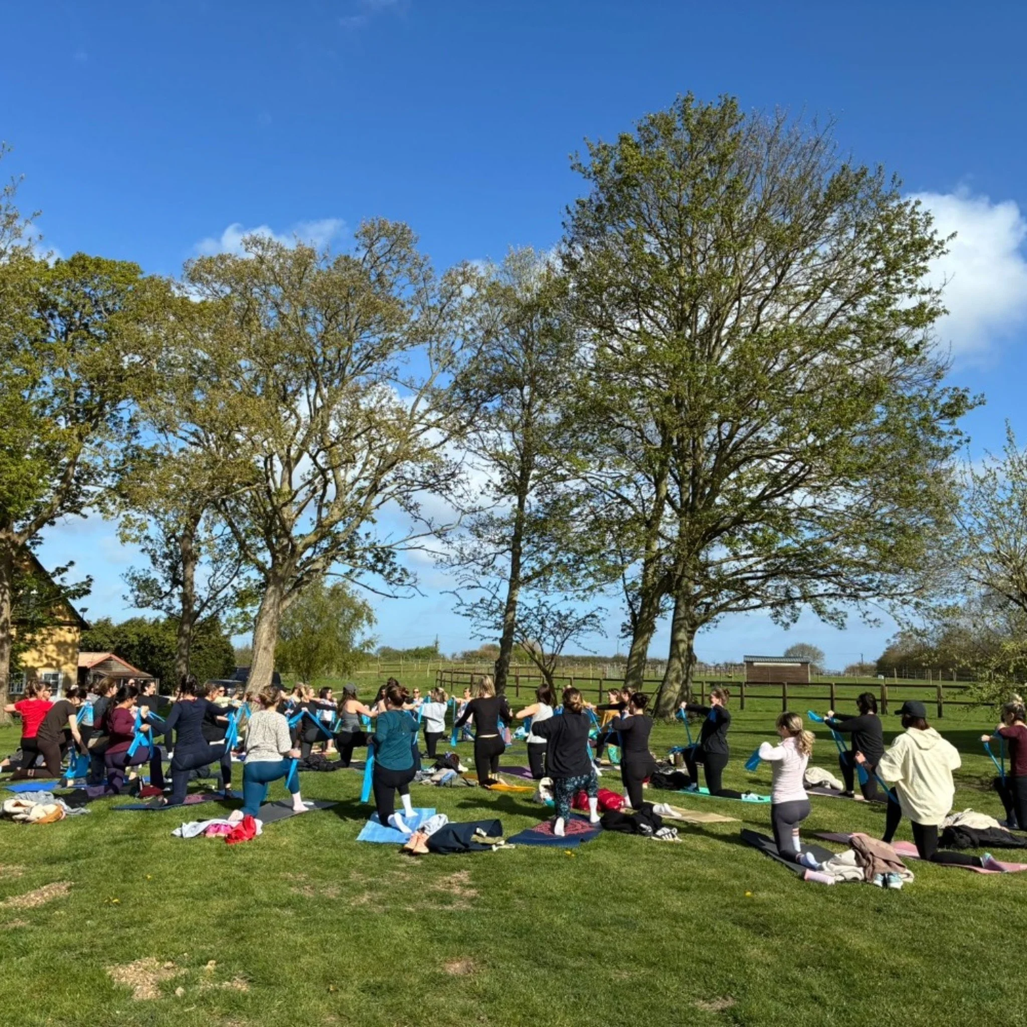 Bloody Good Afternoon