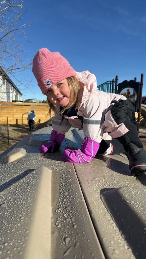 montessori school in montana