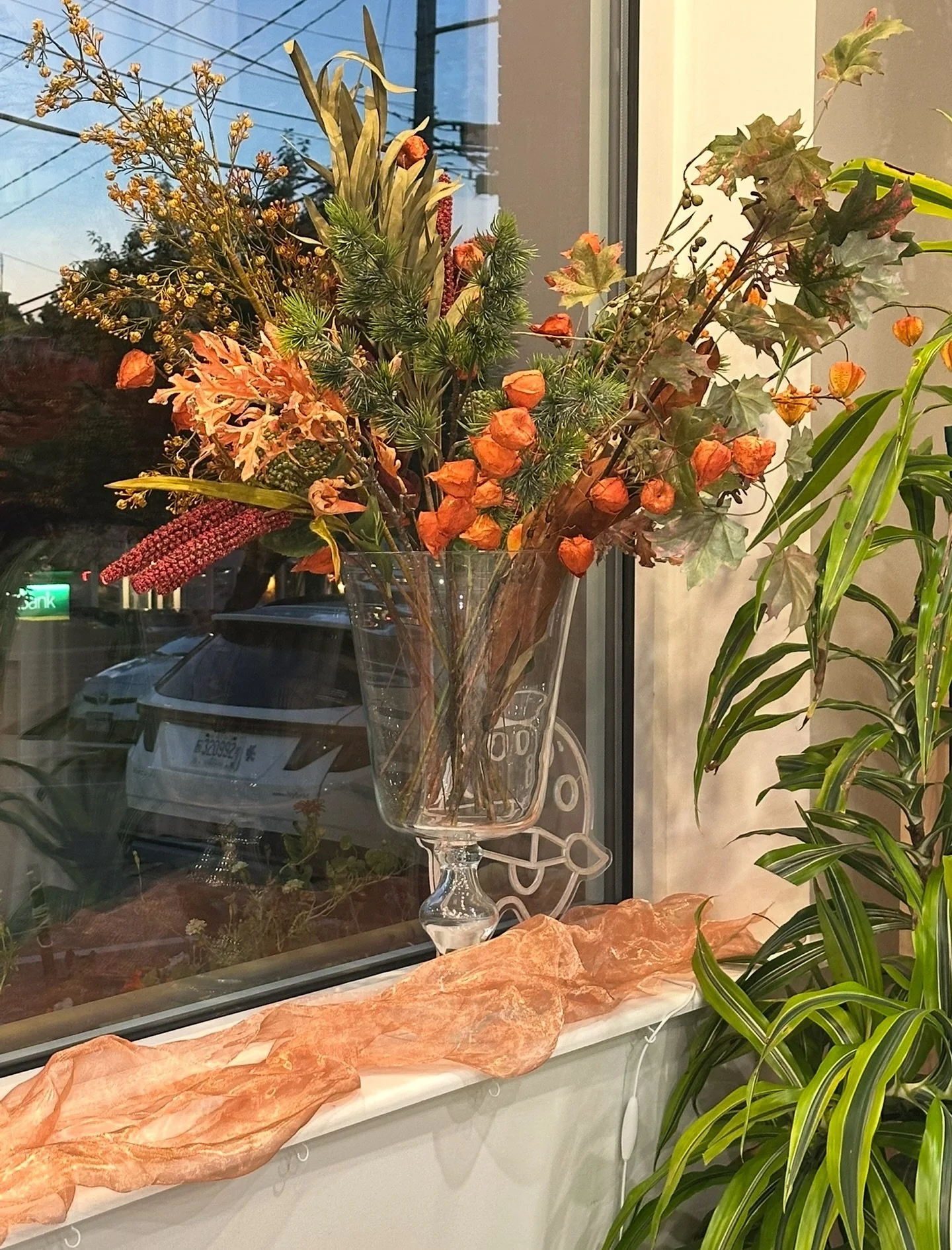 A bit late in the day (late to the party), but Happy Fall / Autumn!! 🍂🍁🍂