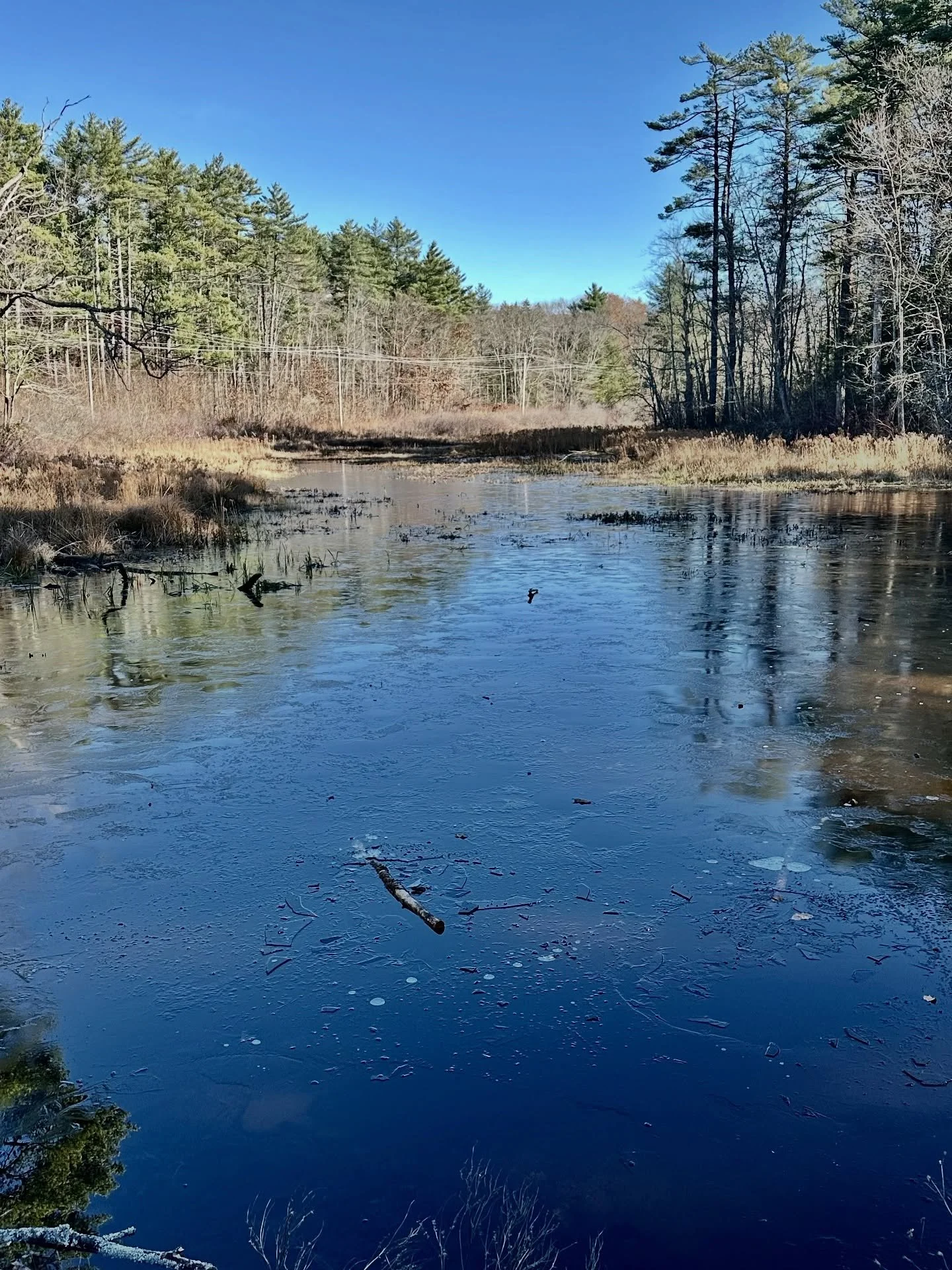 What a wonderful day for a walk in the woods with family&hellip; first ice of the season, the Phillips Exeter v Choate Football match in the distance&hellip; Wonderful&hellip;