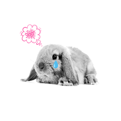 Monochrome lop-eared rabbit lying down with single blue tear from eye and pink thought bubble with a squiggle above