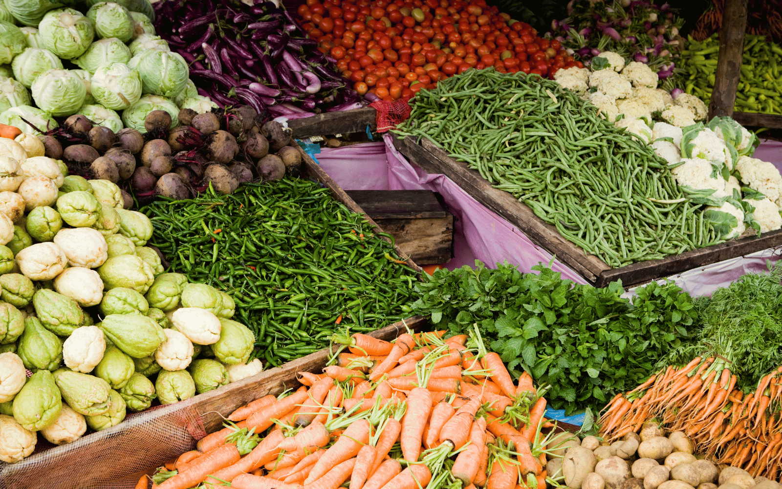 Fresh vegetables at a farmers market including carrots, green beans, cauliflower, beets, purple eggplants, and different types of cabbages.