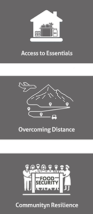 icon showing essentials, distance for delivery and food security