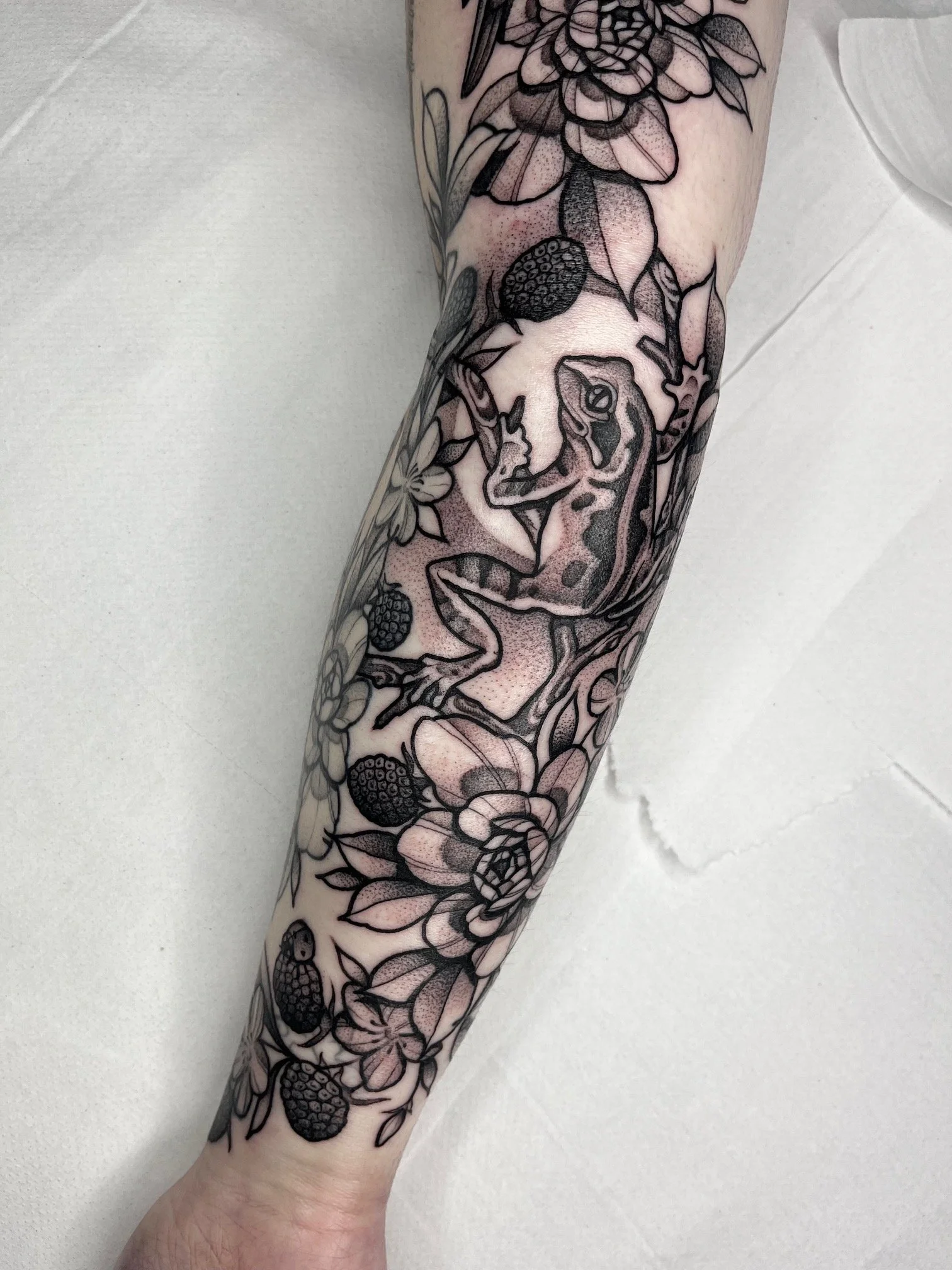 Photo 07-04-2025, 16 56 53.JPG