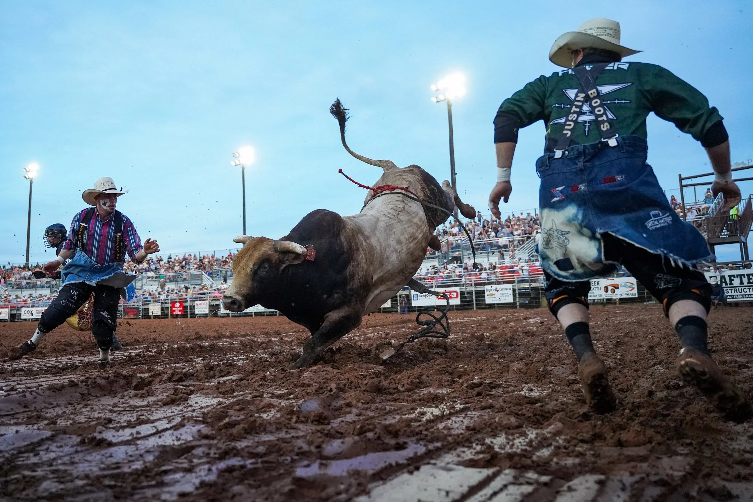 Bull Fighters work to secure a bull during the bull riding event at the Parker County Sheriffs Posse Rodeo hosted in the PCSP Rodeo Arena in Weatherford, Texas June 10, 2025.
