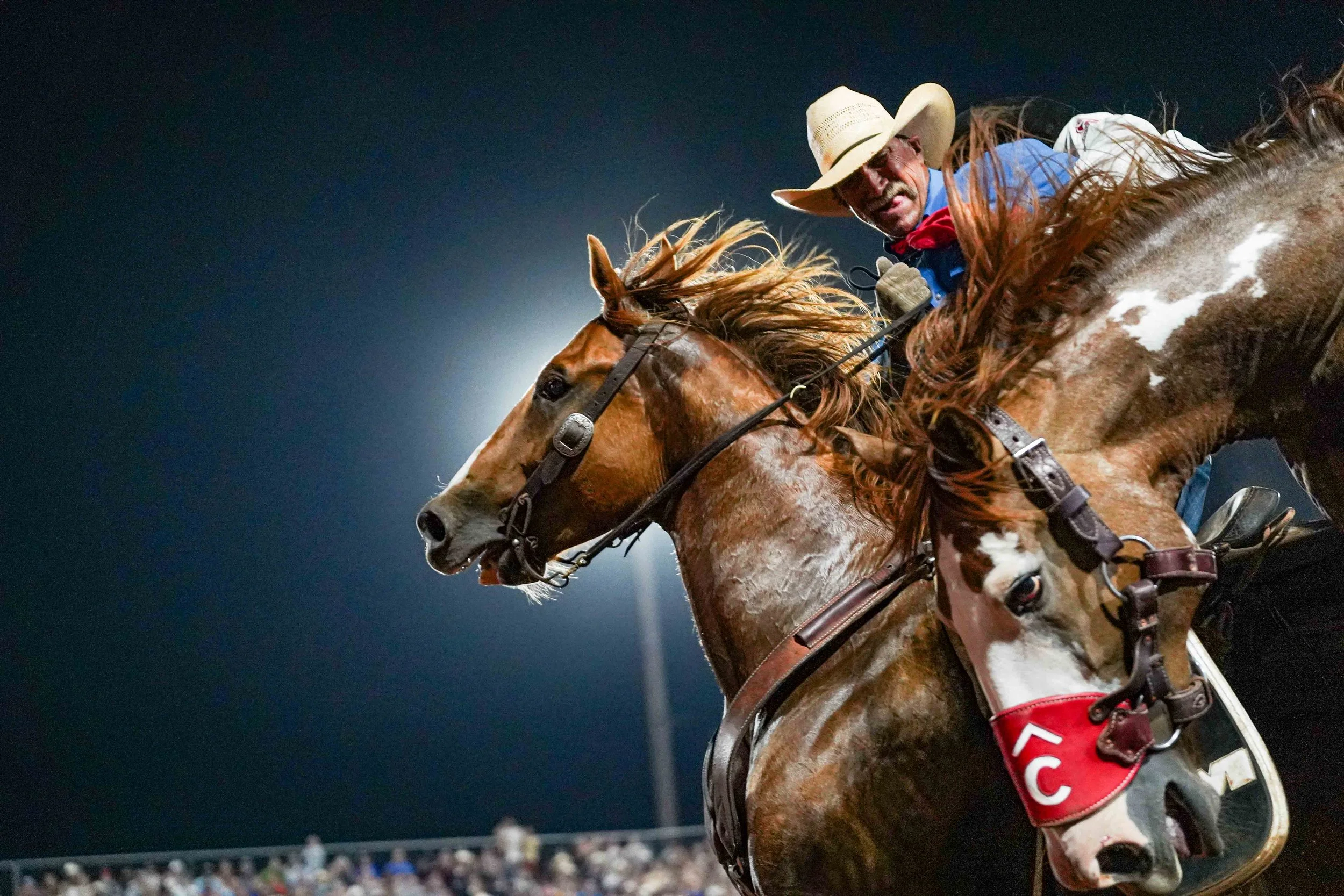 A turnback rider wrangles in a saddle bronc horse during the saddle bronc riding competition in the Parker County Sheriff's Posse Rodeo held at the Praker County Sheriff's Posse Rodeo Arena in Weatherford, Texas June 14, 2025.
