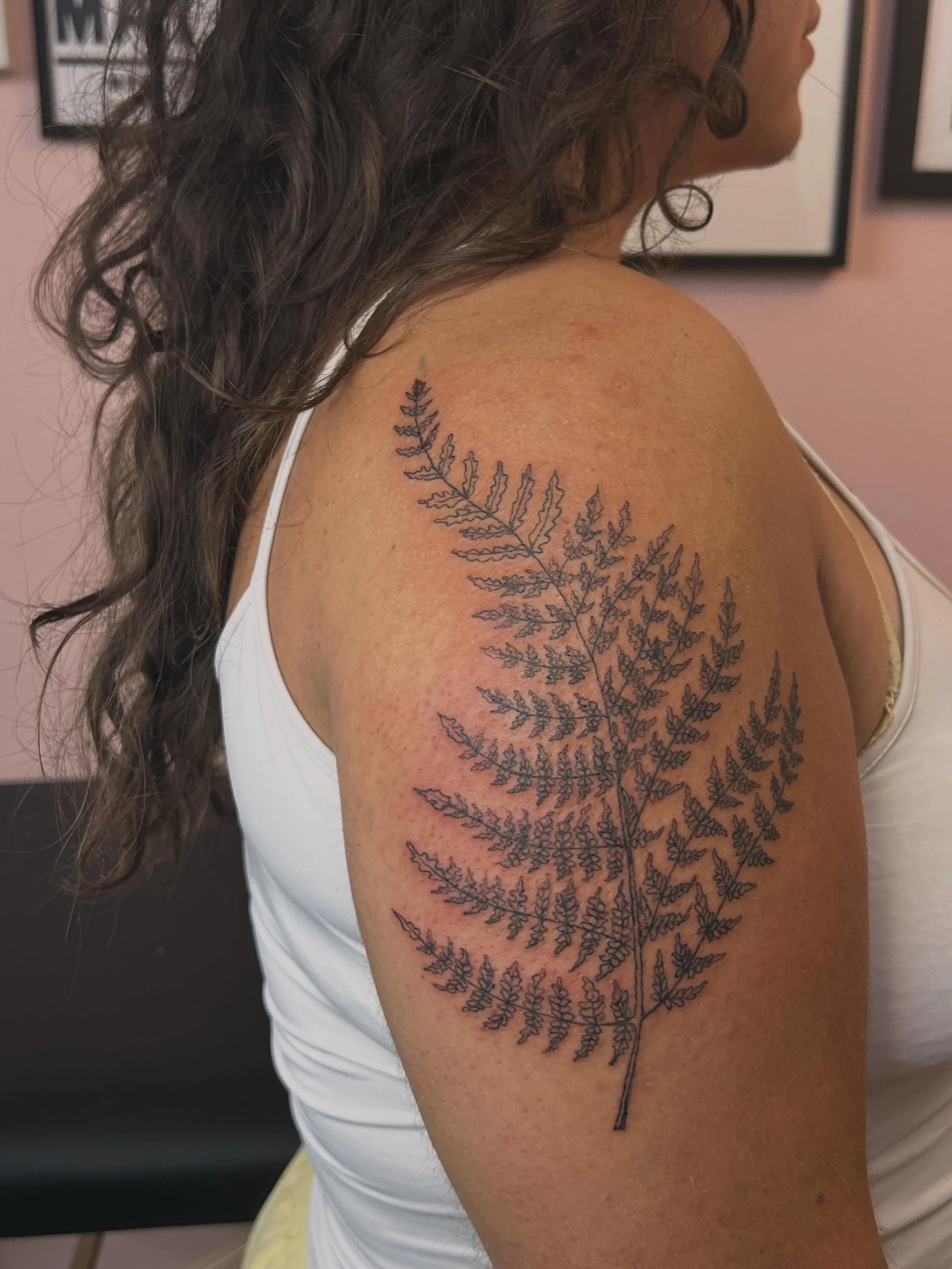 fern for Sophia🌿