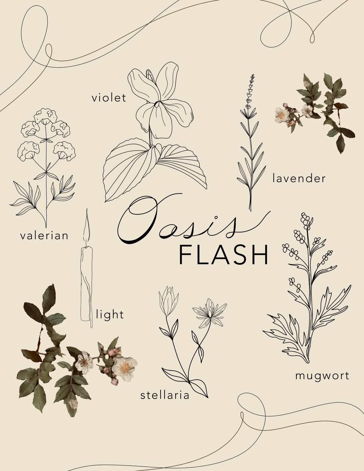 Stop by this Saturday, 4/4, for our annual @oasishighcountry flash fundraiser at @iron.orchid.tattoos ✨ get a spell for love &amp; healing + raise some money for an amazing cause 🪄 arms + legs + ca$h only! Starting at 10am! First come first served b