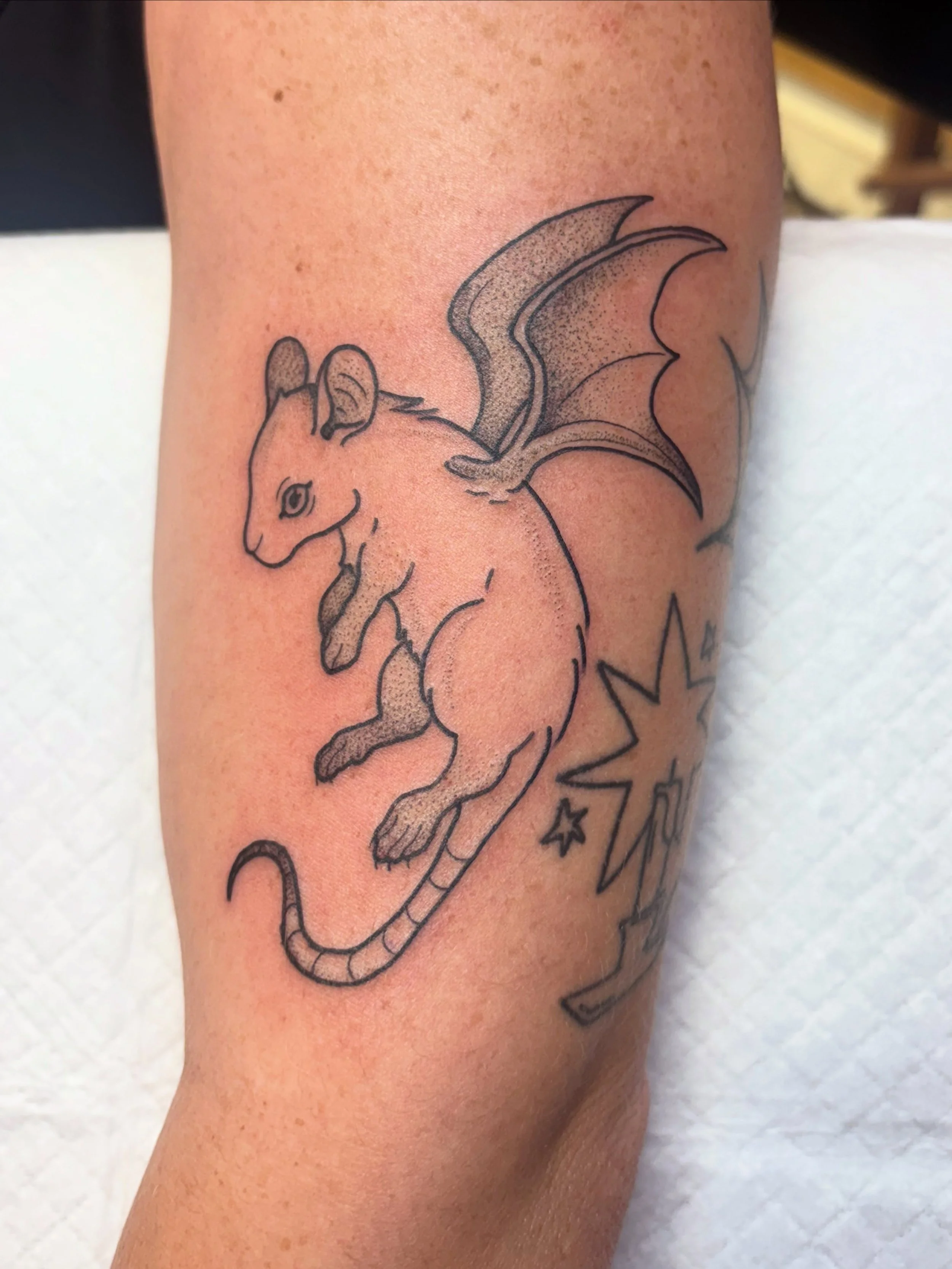 Some of the Flash I got to do for @ratkingstudio.boone grand opening! I forgot to take a photo of the sick ass rat foot :( but all flash is still available for me to tattoo! Just fill out my booking form in my bio @shlodoodles and we can get you book
