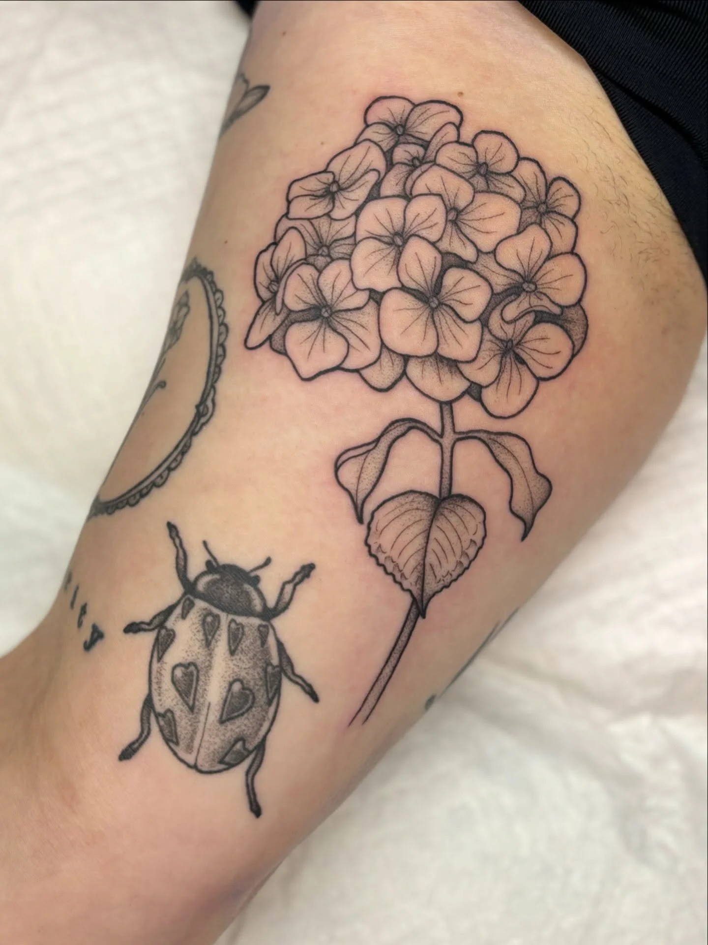 Some fun florals and critters! 
First photo is working on a patchwork sleeve with some hydrangeas next to a healed love bug done a while back! 
2nd some soft ferns 
3rd added a praying mantis to of a healed piece of some monsteras 
4th and 5th are so