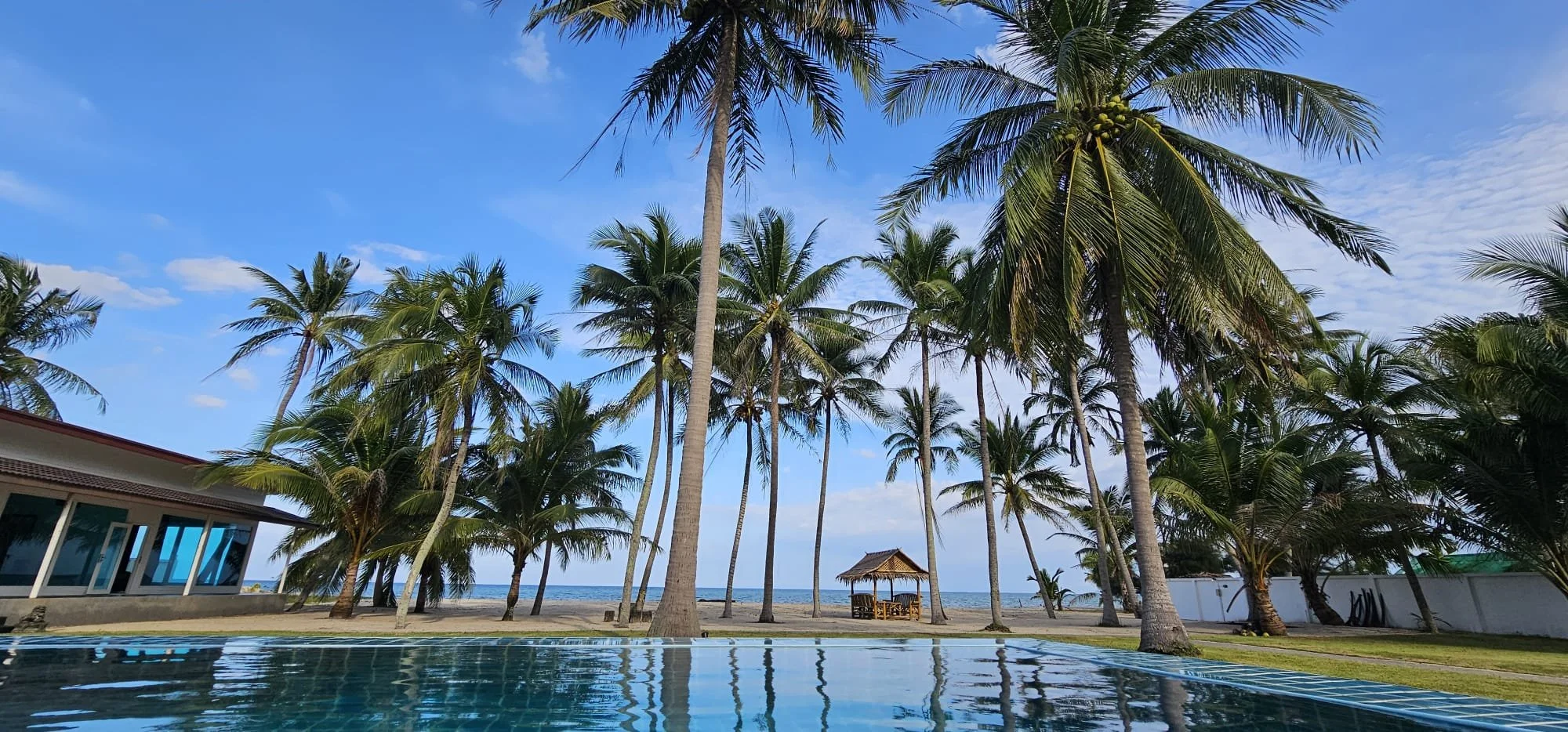 WhatsApp Image 2025-11-14 at 16.02.19.jpeg