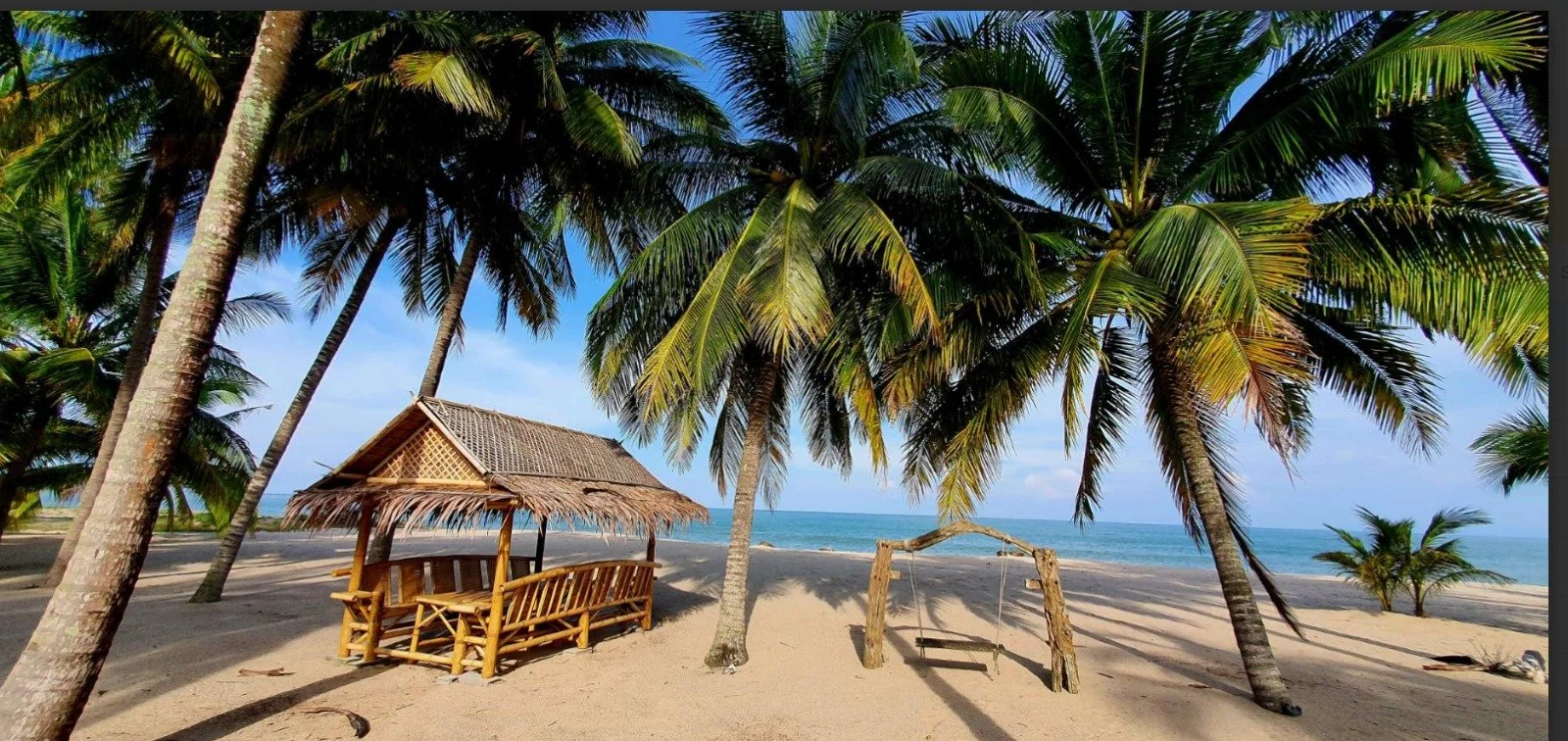 WhatsApp Image 2025-11-21 at 15.31.16.jpeg