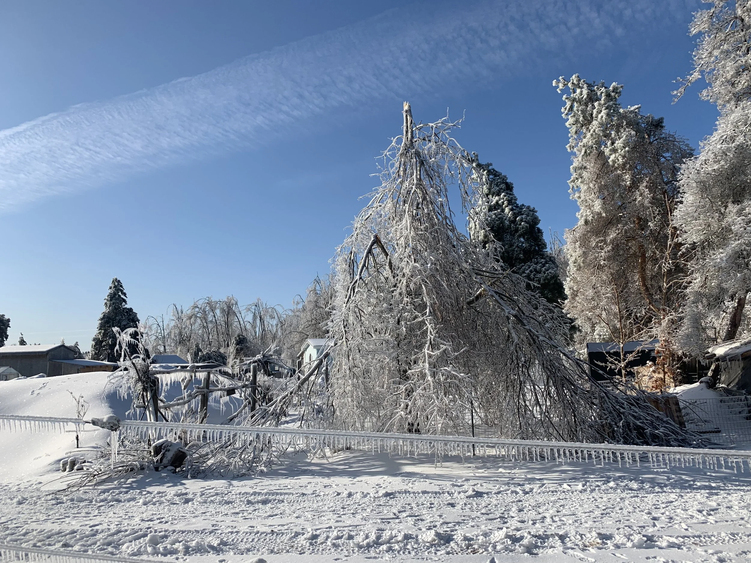 Ice Storm Farm Relief Fund Update