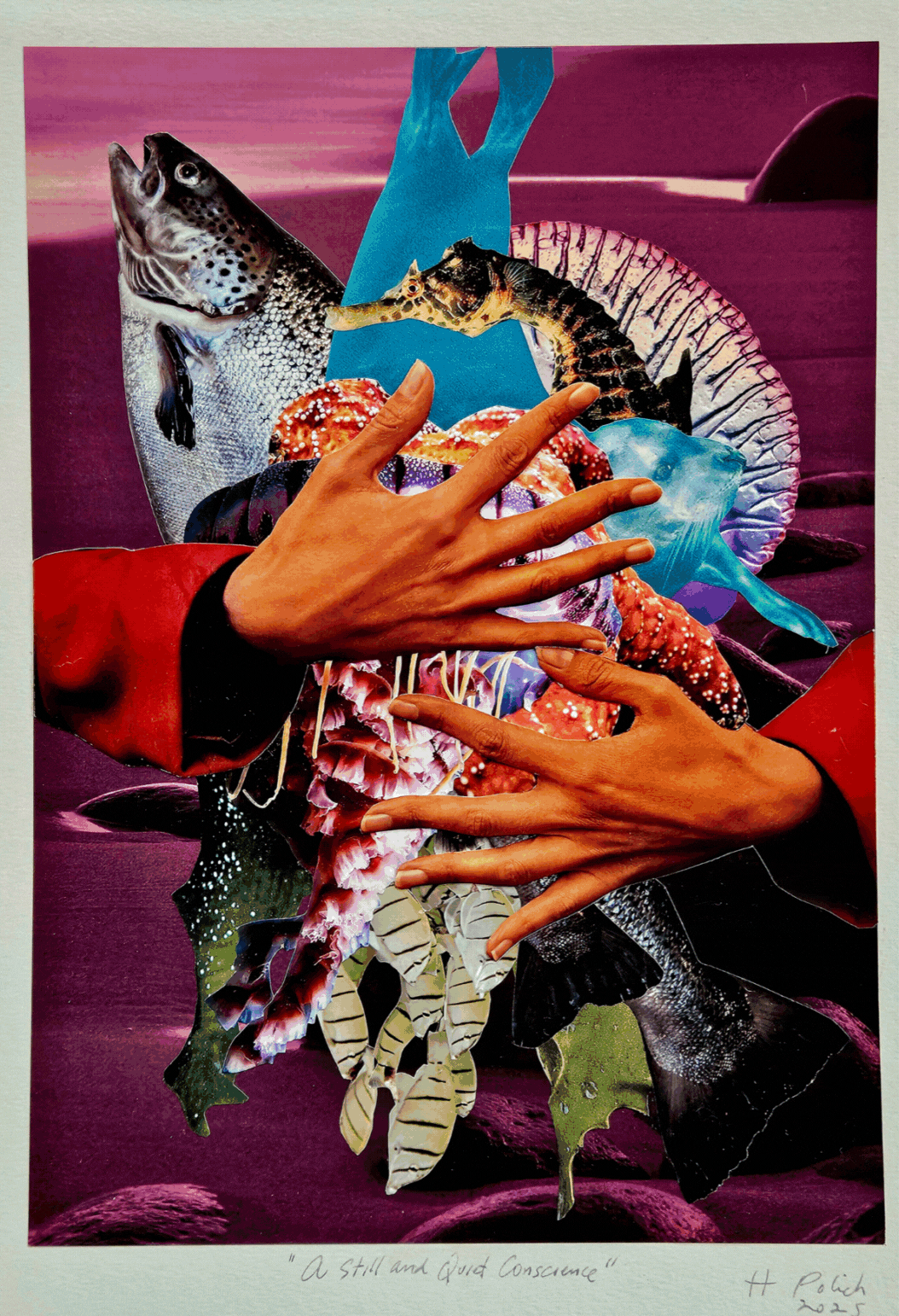 The Whole Field • Volume 4 • No. 21 • New Moon • November 20, 2025 