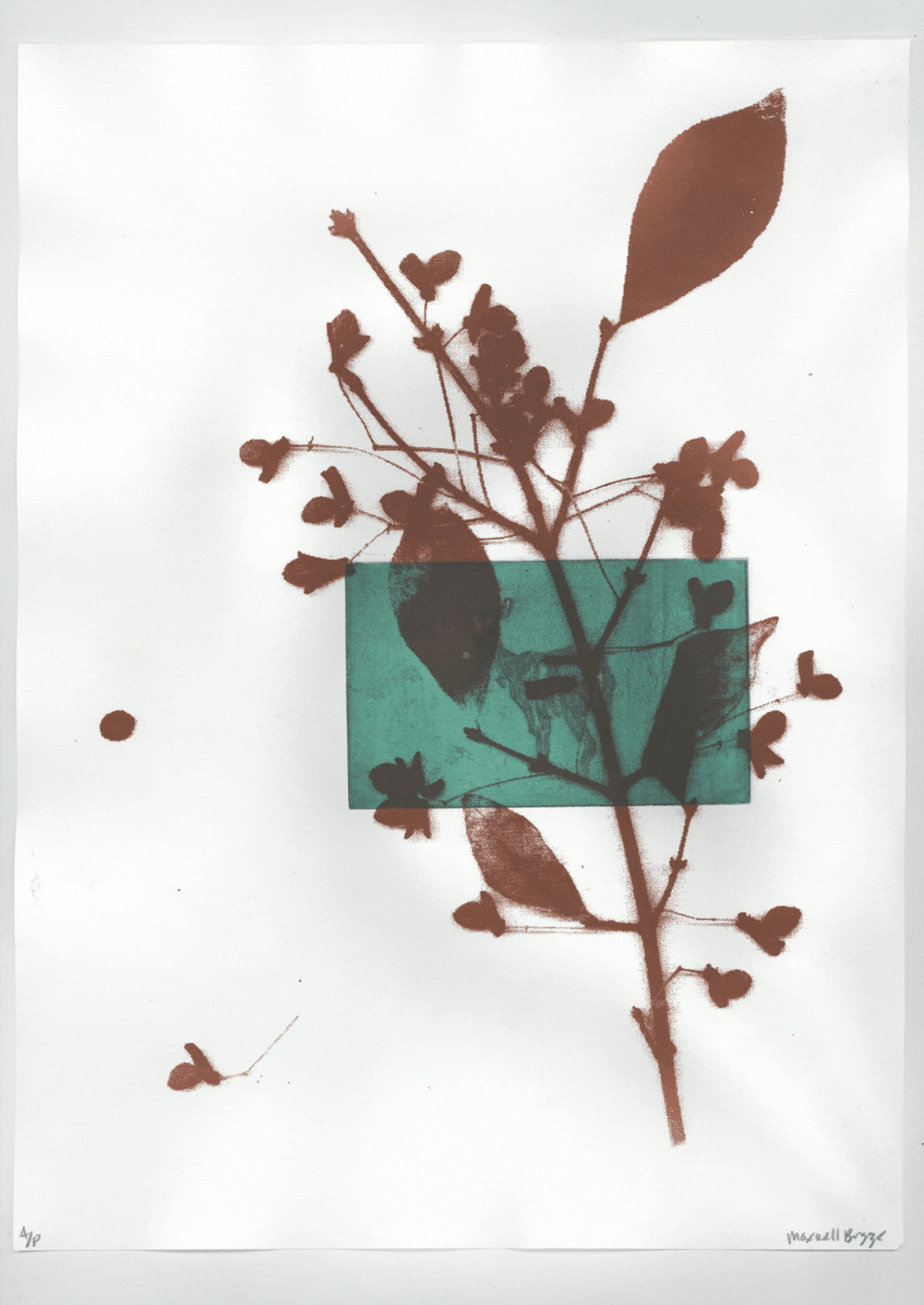 The Whole Field • Volume 4 • No. 22 • Full Moon • December 5, 2025 