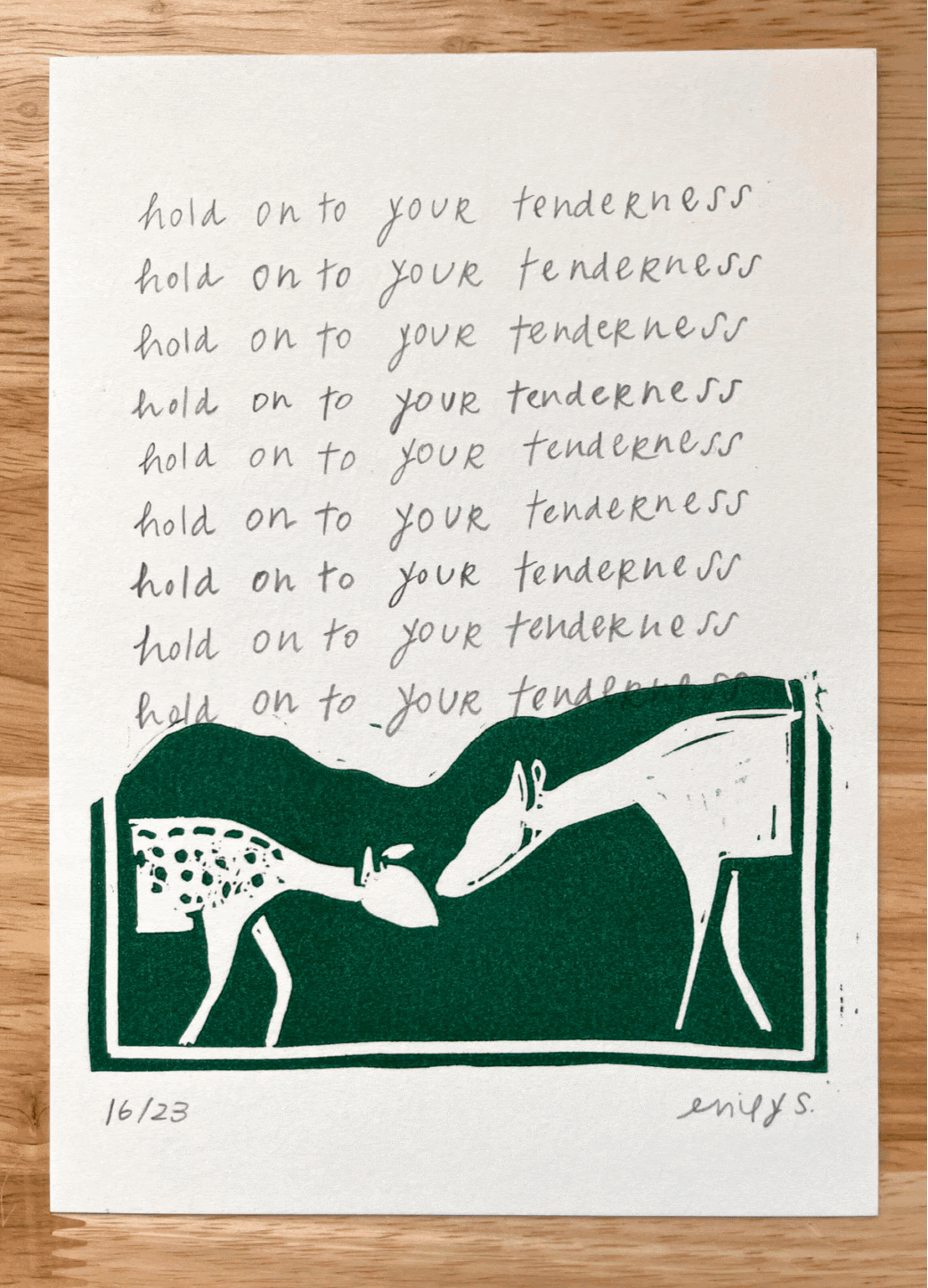 The Whole Field • Volume 4 • No. 23 • New Moon • December 19, 2025 