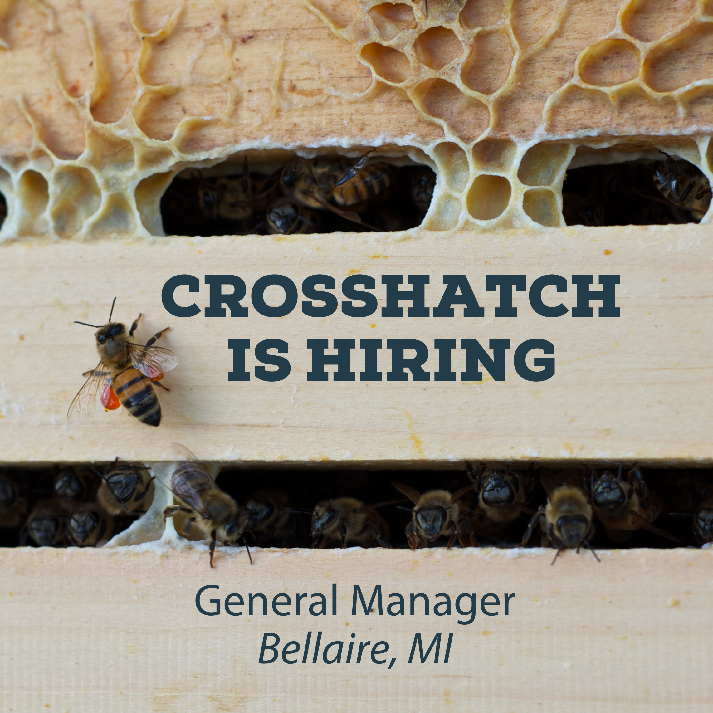 WORK WITH CROSSHATCH