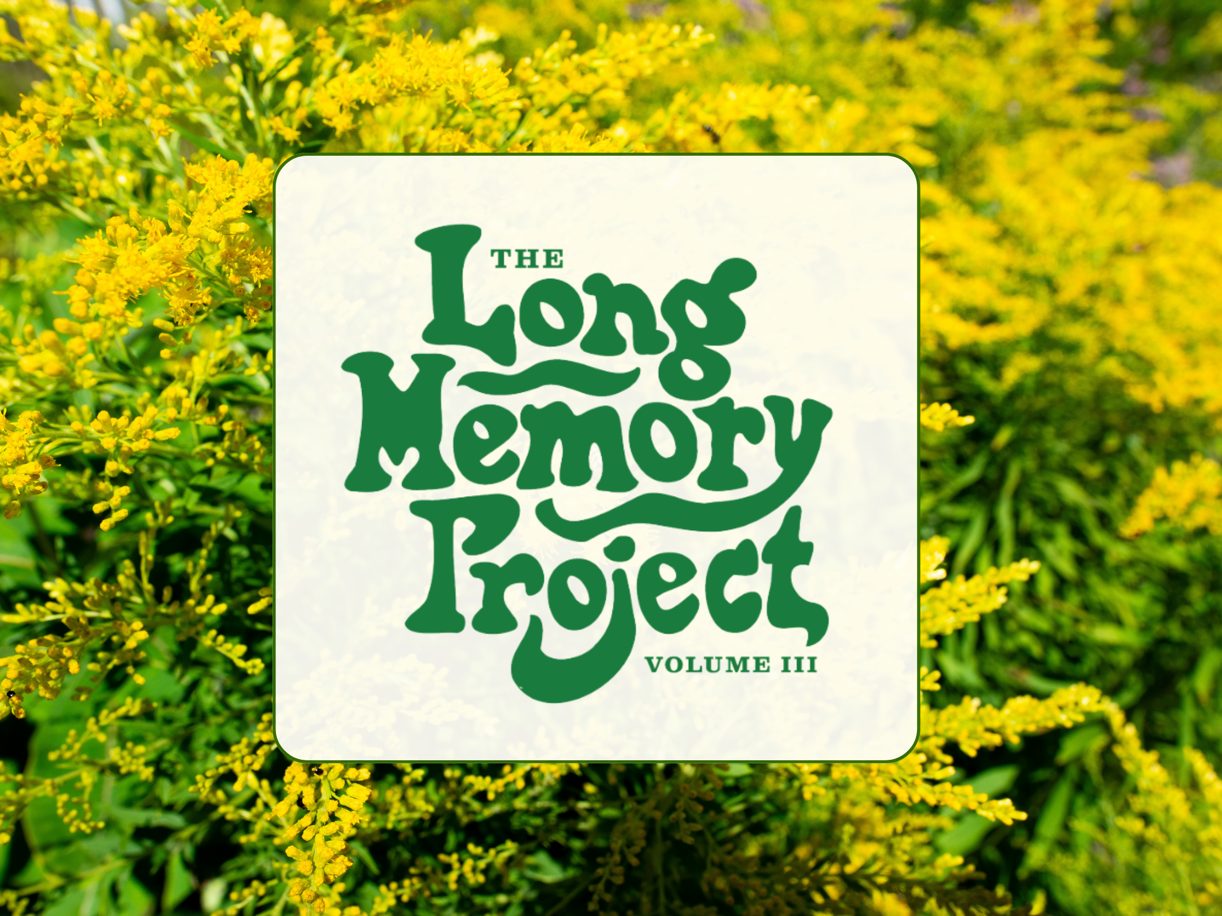 The Long Memory Project Exhibit Opening