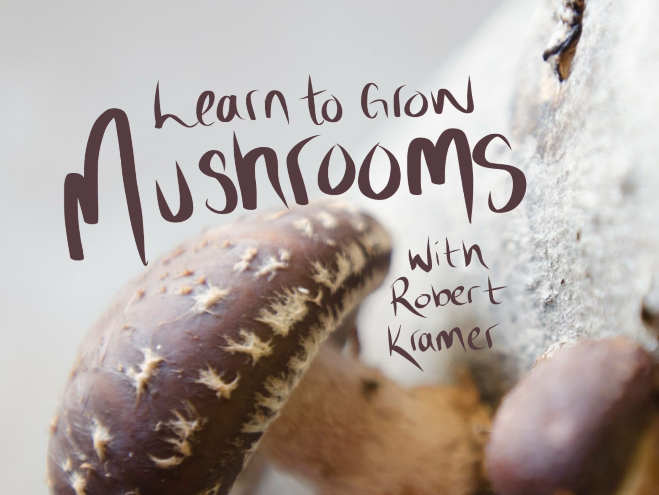 Mushroom Log Inoculation Workshop