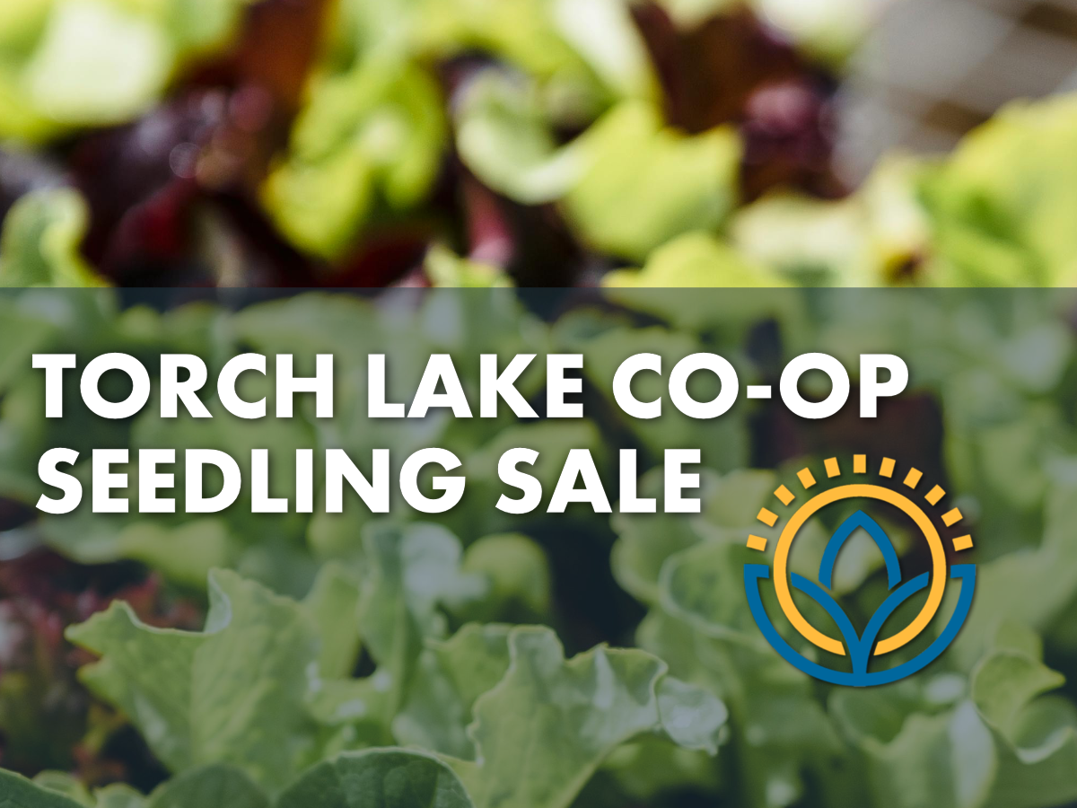 Seedling Sale in Downtown Bellaire