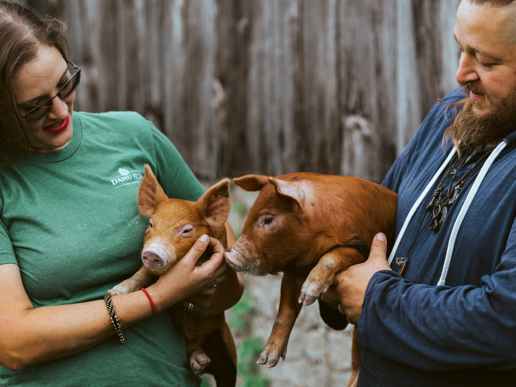 "Show and Tell" Tour for Farmers: Pigs and Poultry on Pasture