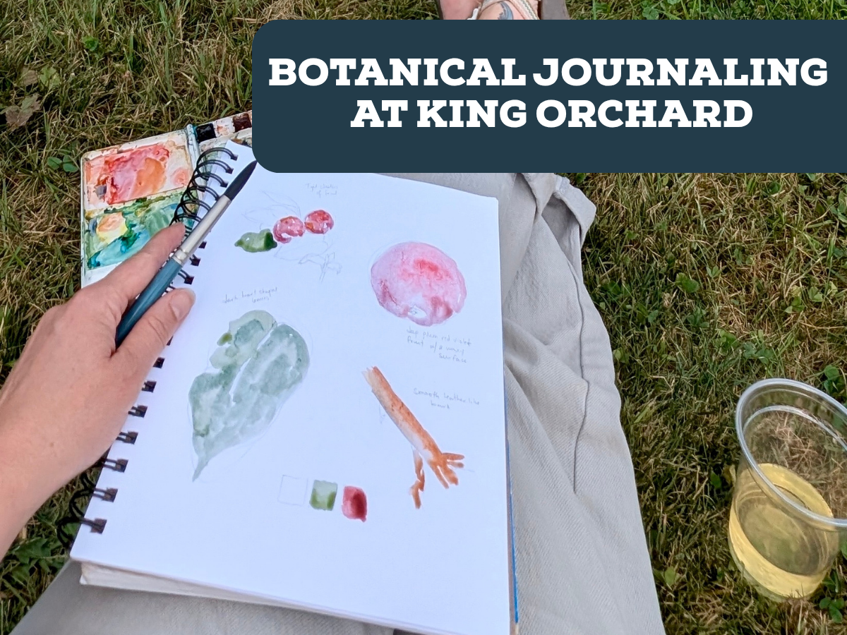 Botanical Journaling at King Orchards