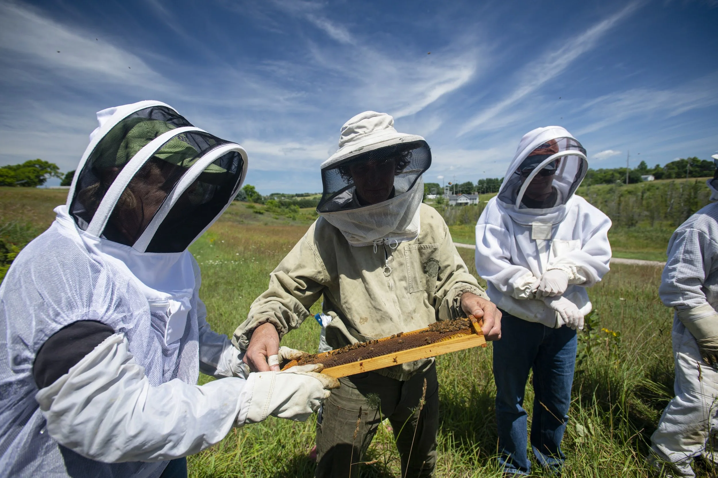 A trio of beekeepers beekeeping.